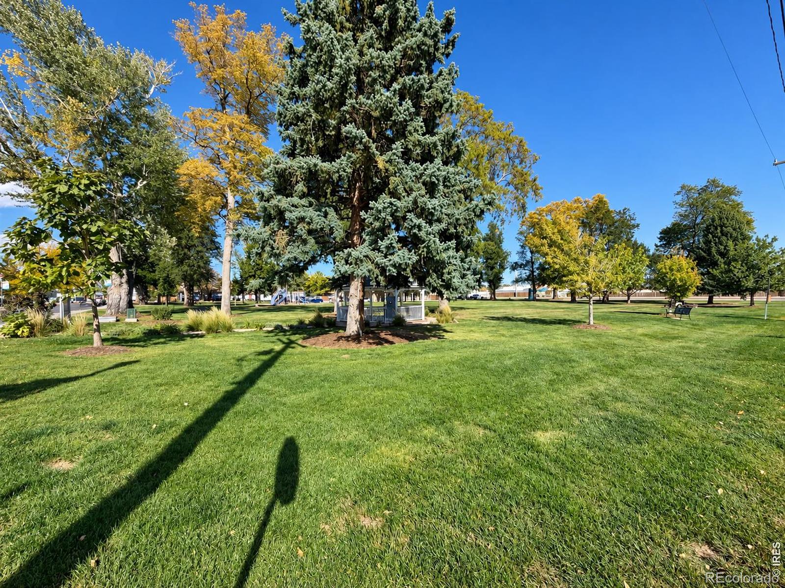 MLS Image #15 for 542  palmer avenue,mead, Colorado