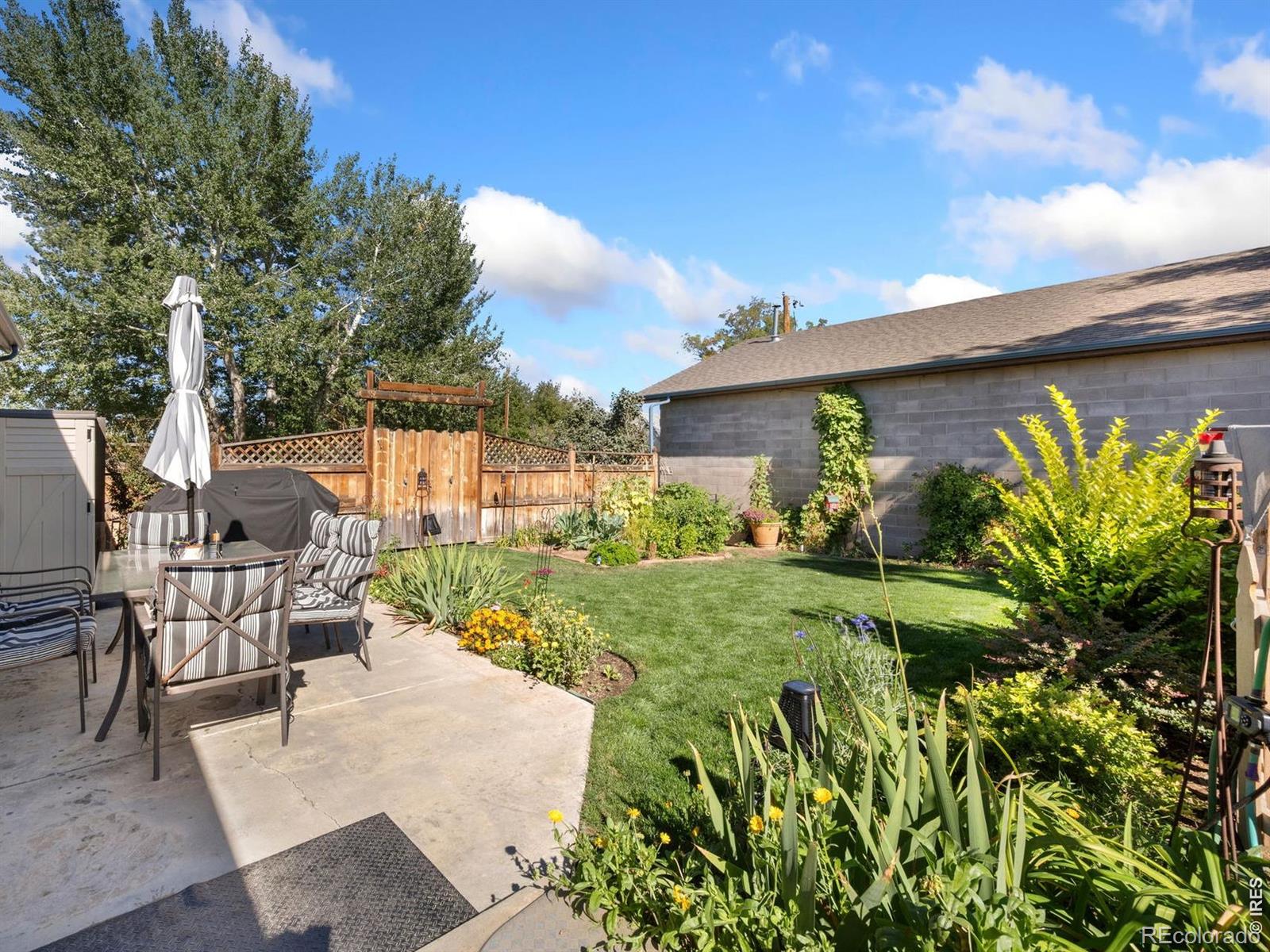 MLS Image #25 for 542  palmer avenue,mead, Colorado