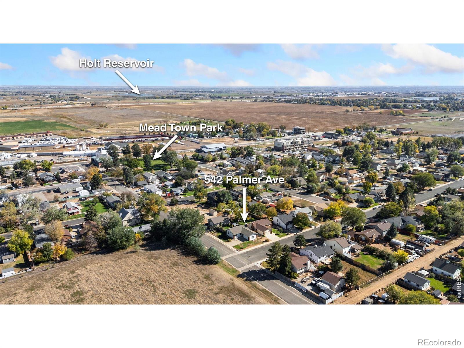 MLS Image #30 for 542  palmer avenue,mead, Colorado