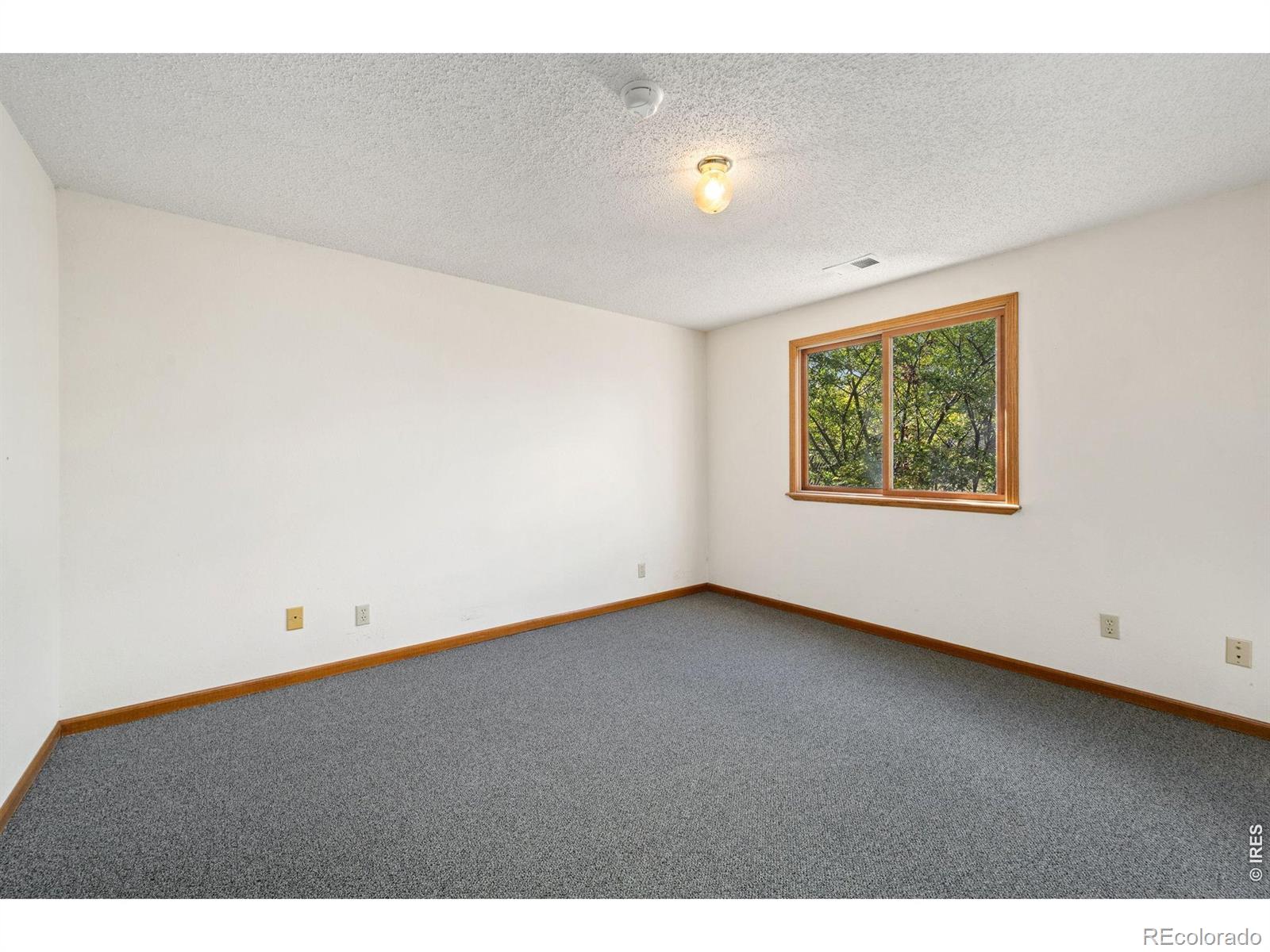 MLS Image #21 for 1056  scarborough drive,loveland, Colorado