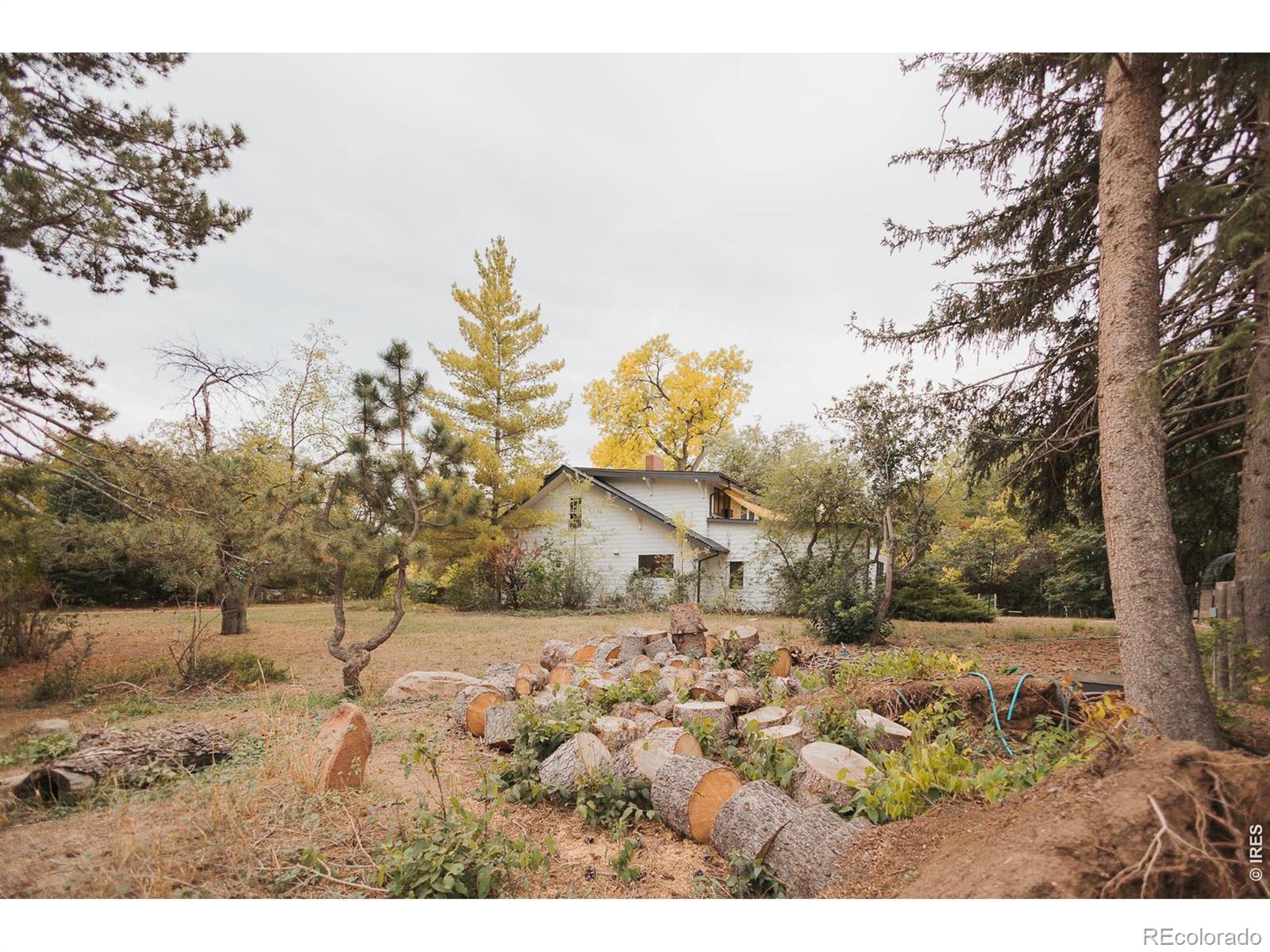 MLS Image #8 for 1501 s shields street,fort collins, Colorado