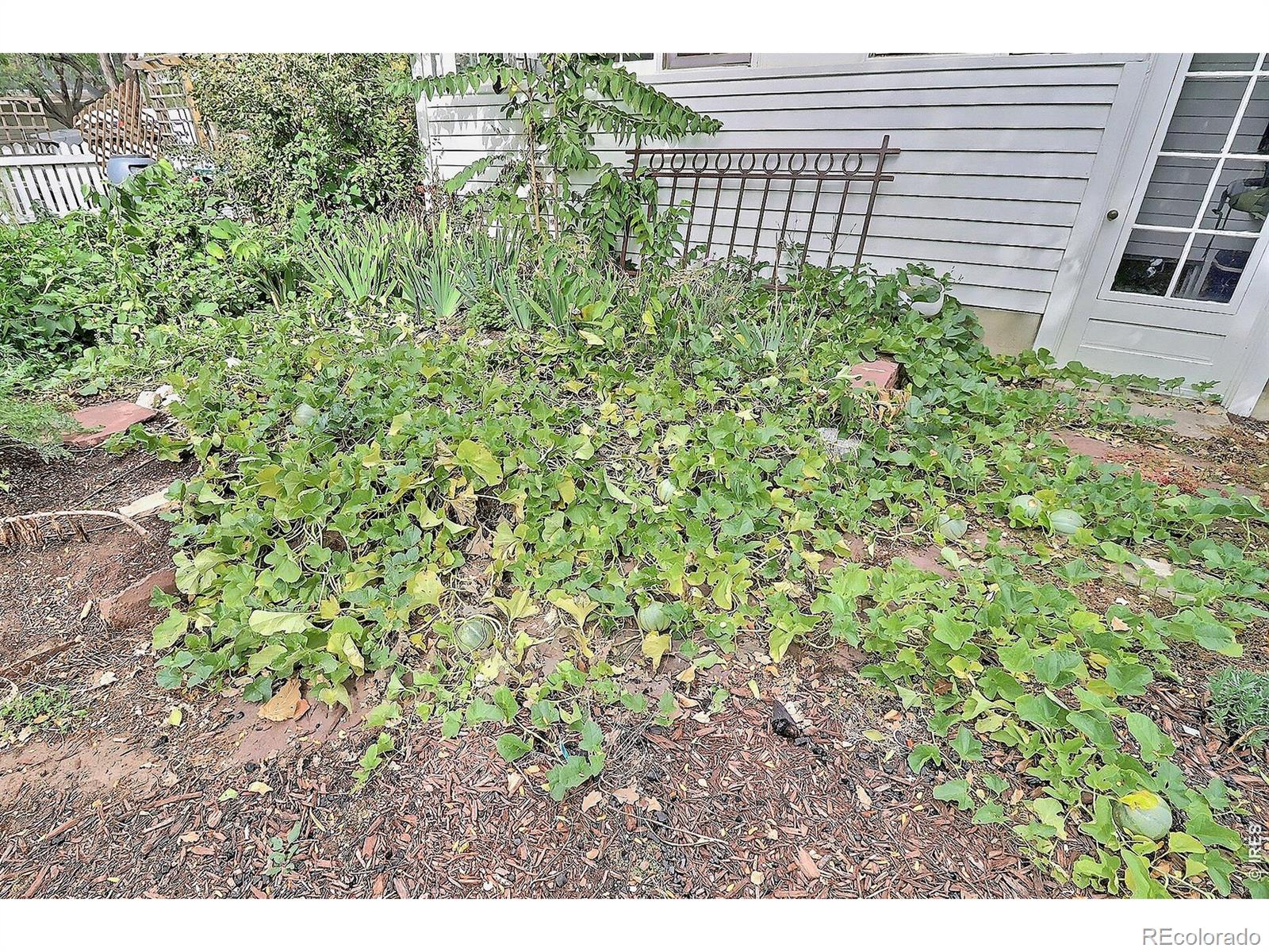MLS Image #41 for 1230  12th street,greeley, Colorado