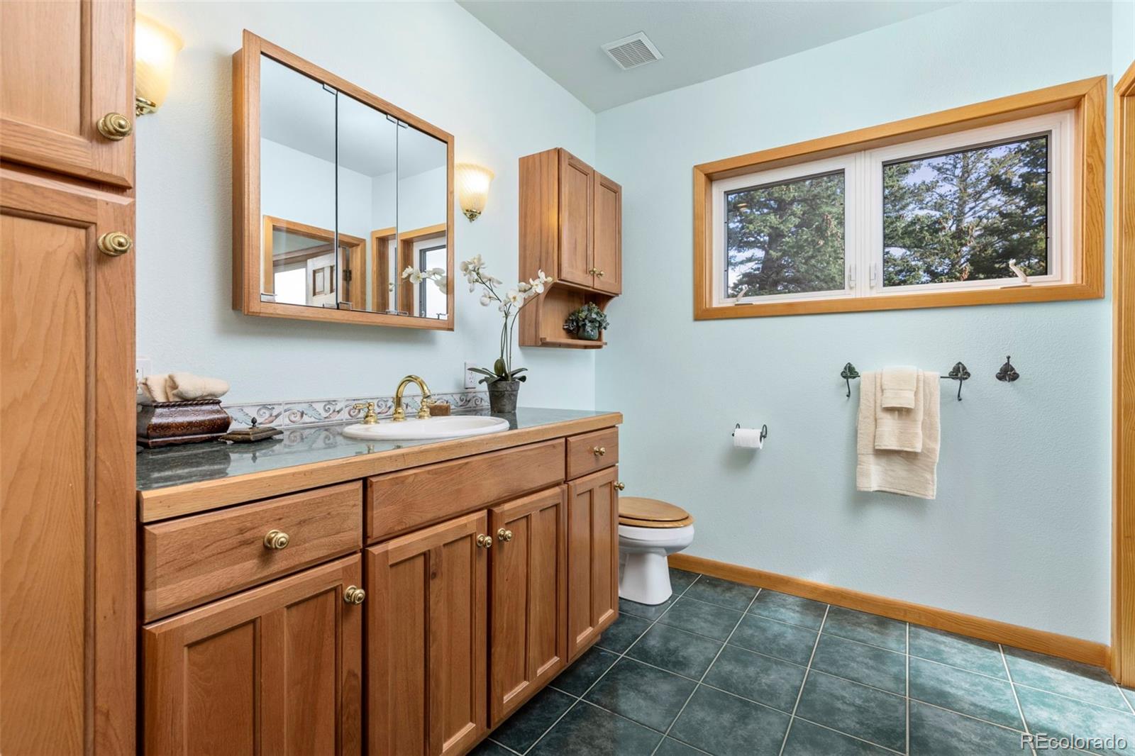MLS Image #28 for 199  deer trail circle,boulder, Colorado