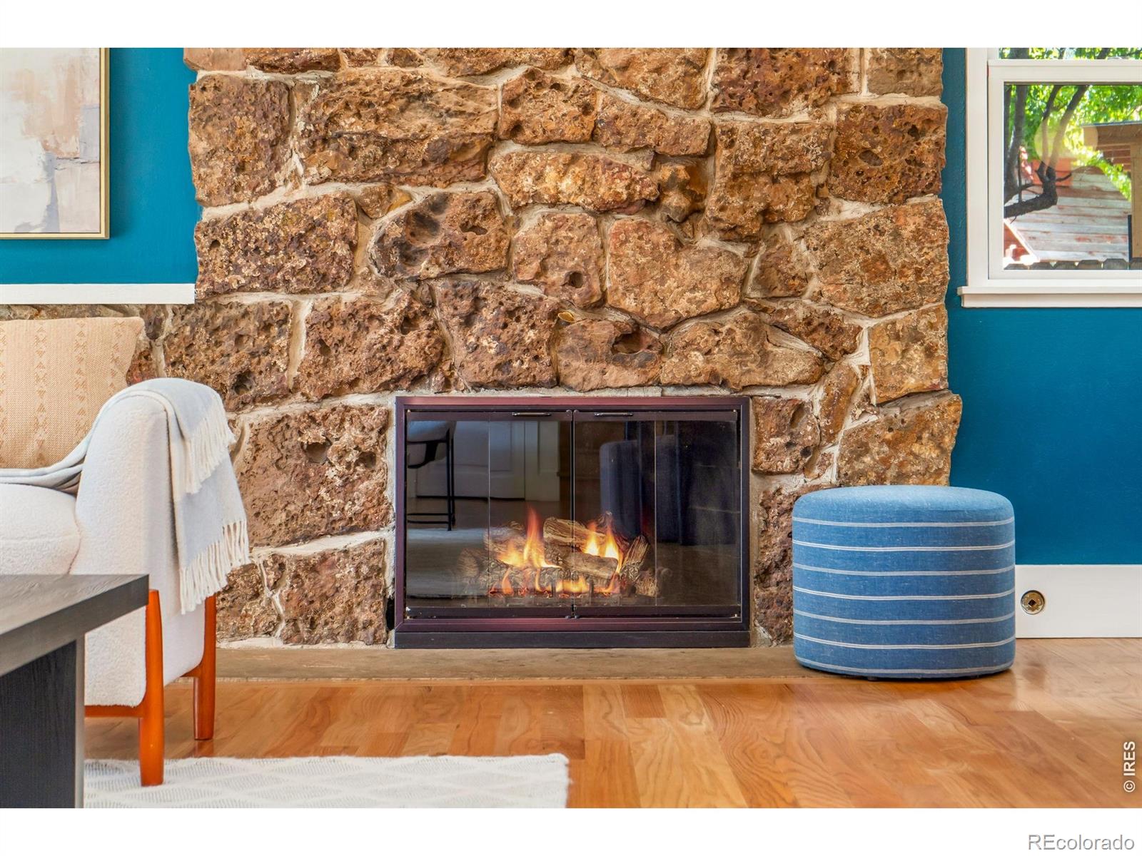 MLS Image #11 for 1104 e pitkin street,fort collins, Colorado