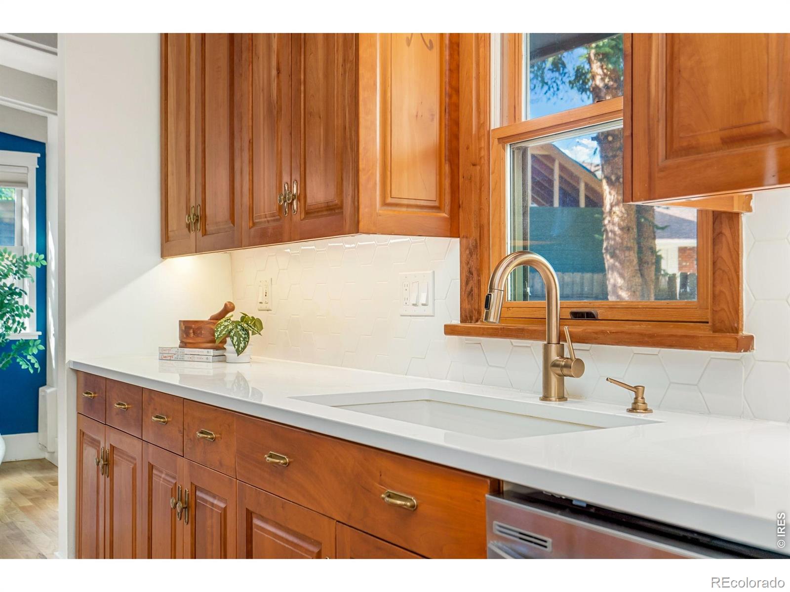 MLS Image #18 for 1104 e pitkin street,fort collins, Colorado