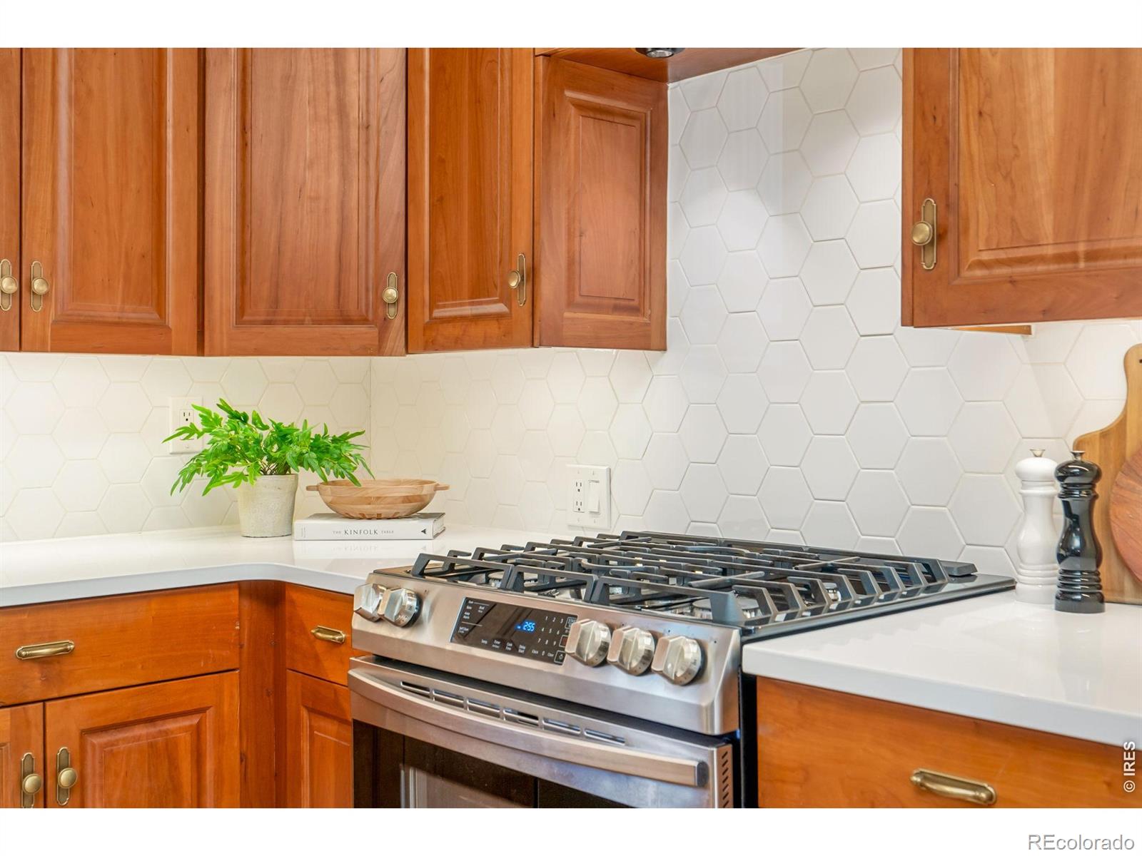 MLS Image #20 for 1104 e pitkin street,fort collins, Colorado