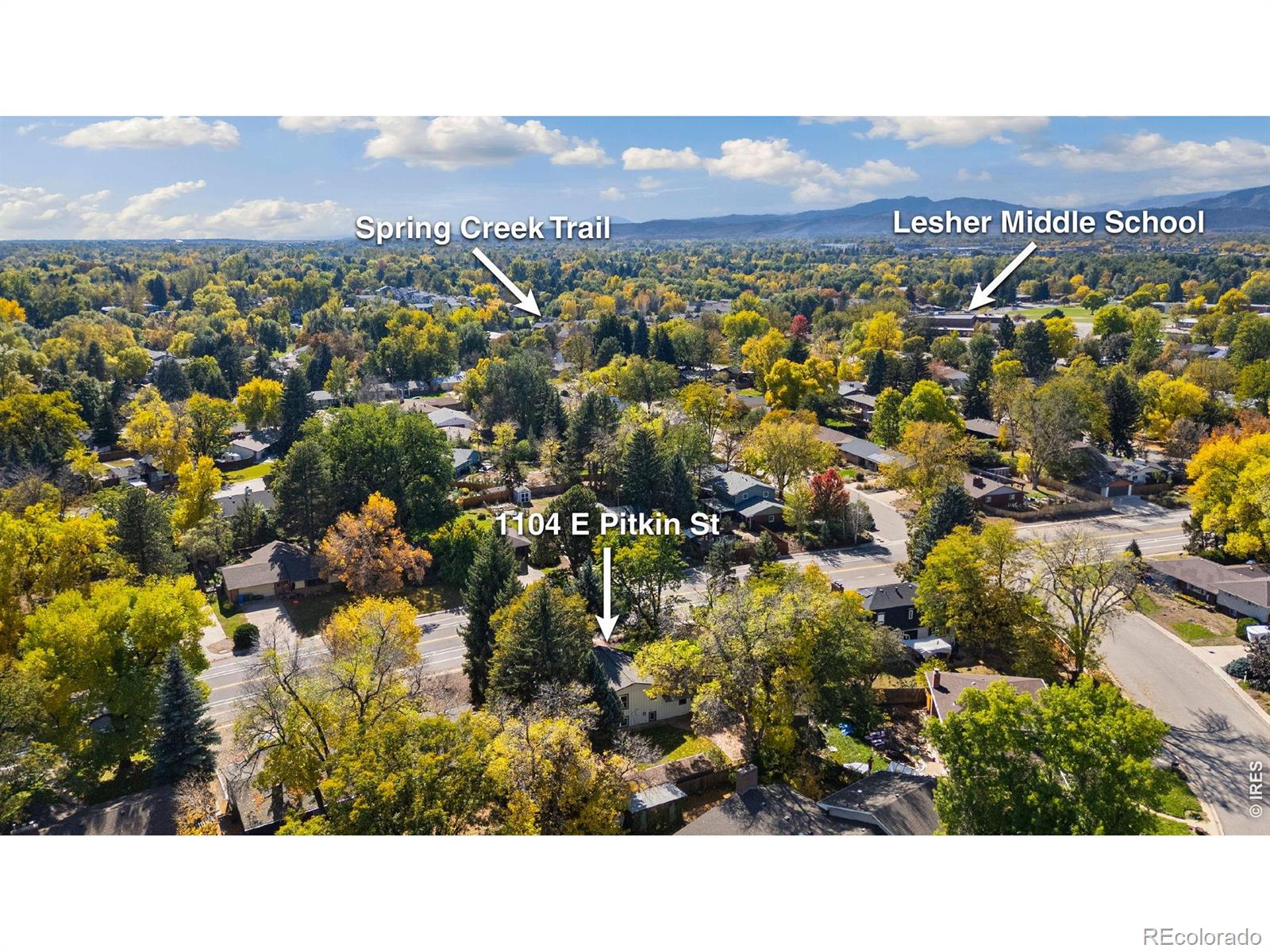 MLS Image #47 for 1104 e pitkin street,fort collins, Colorado