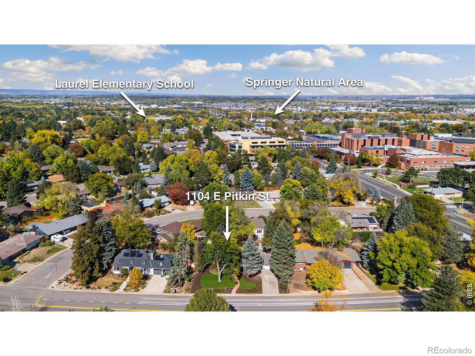 MLS Image #48 for 1104 e pitkin street,fort collins, Colorado