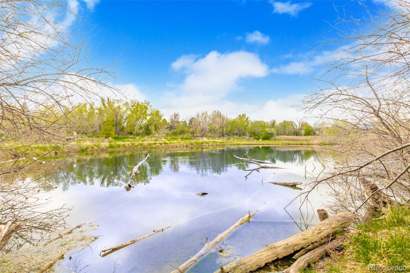 MLS Image #42 for 1705  heatheridge road,fort collins, Colorado