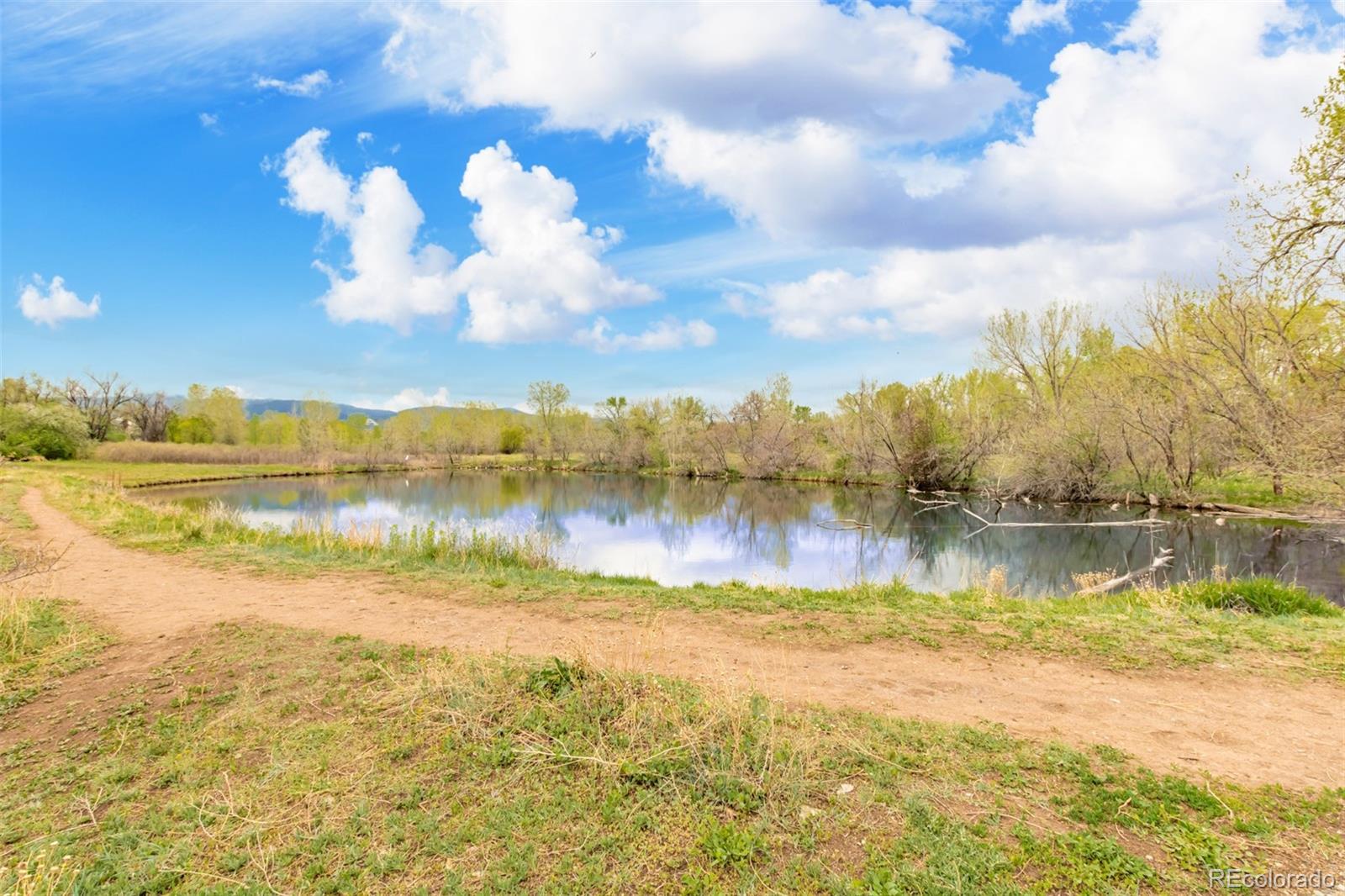 MLS Image #44 for 1705  heatheridge road,fort collins, Colorado