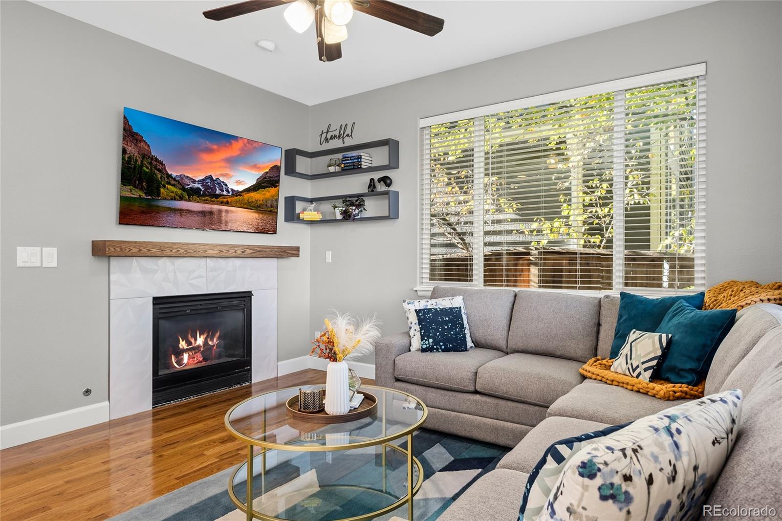 MLS Image #10 for 10253  spotted owl court,highlands ranch, Colorado