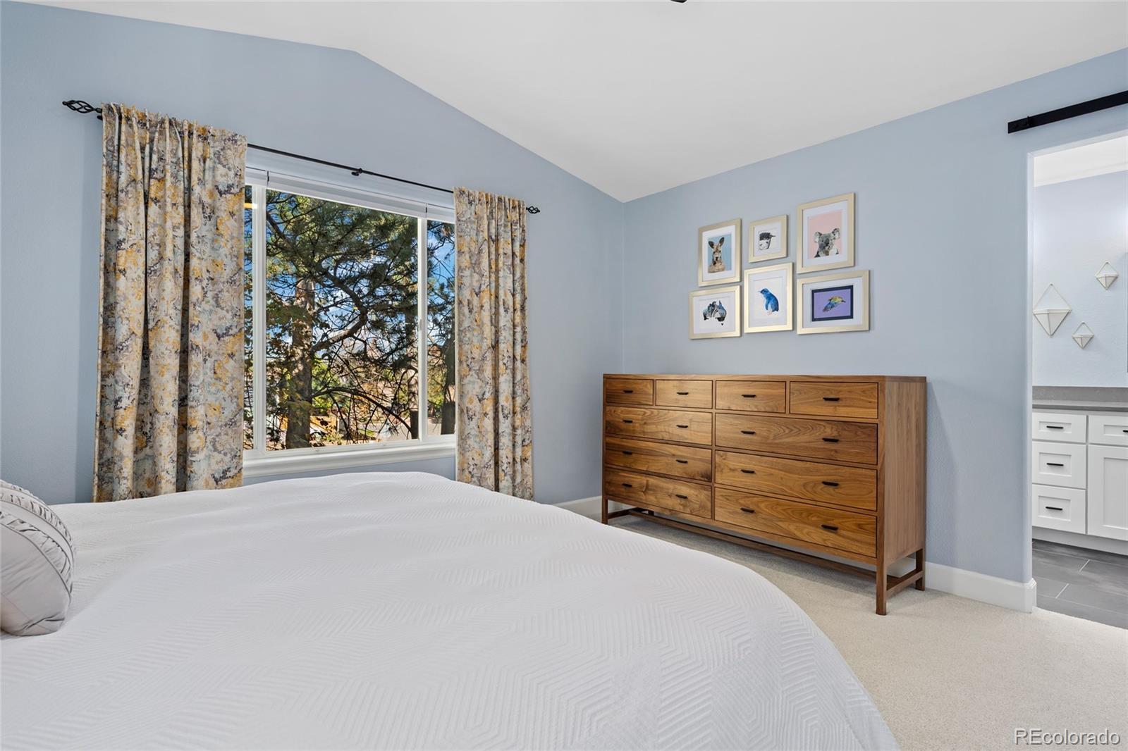 MLS Image #19 for 10253  spotted owl court,highlands ranch, Colorado