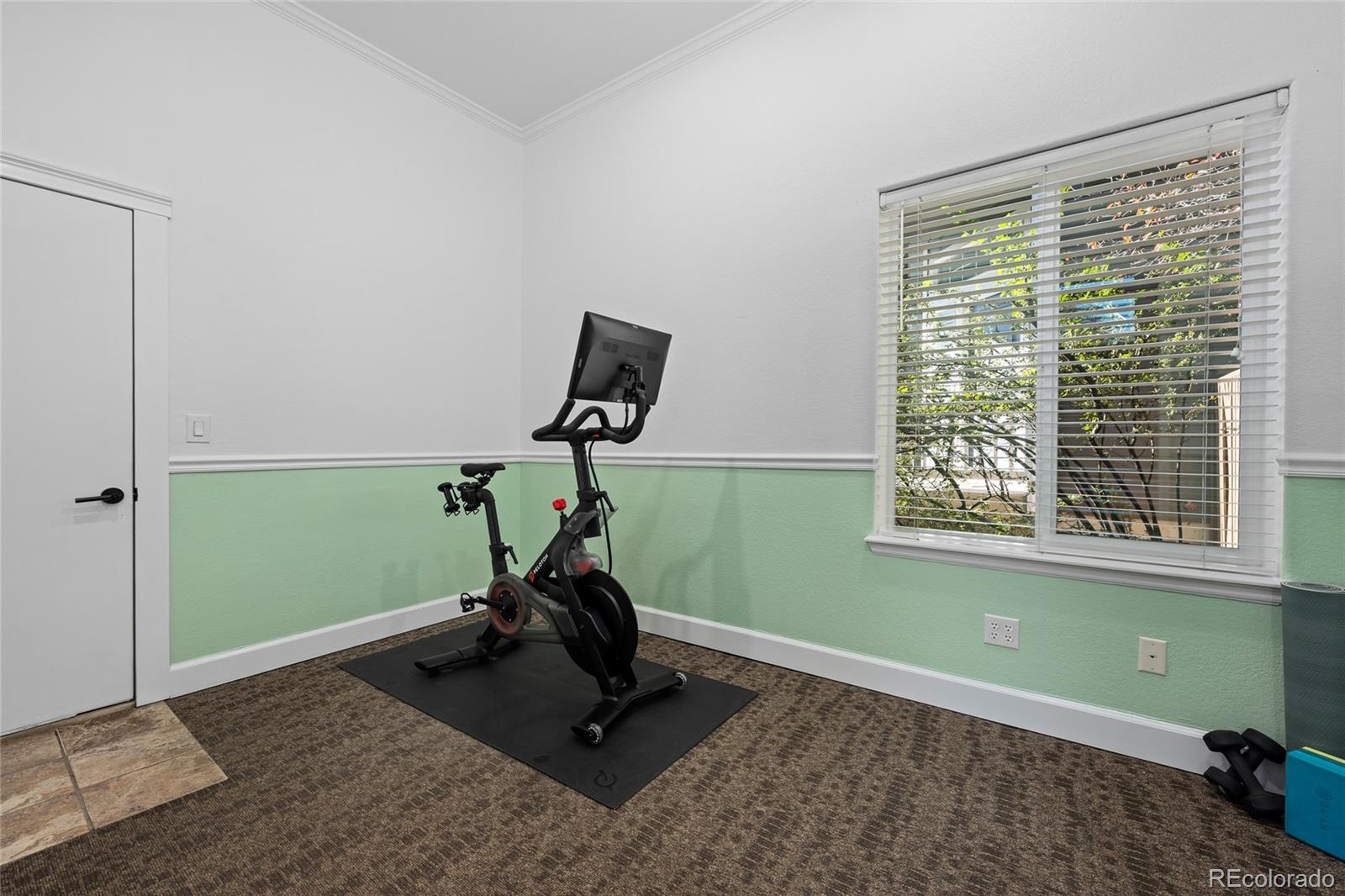 MLS Image #30 for 10253  spotted owl court,highlands ranch, Colorado