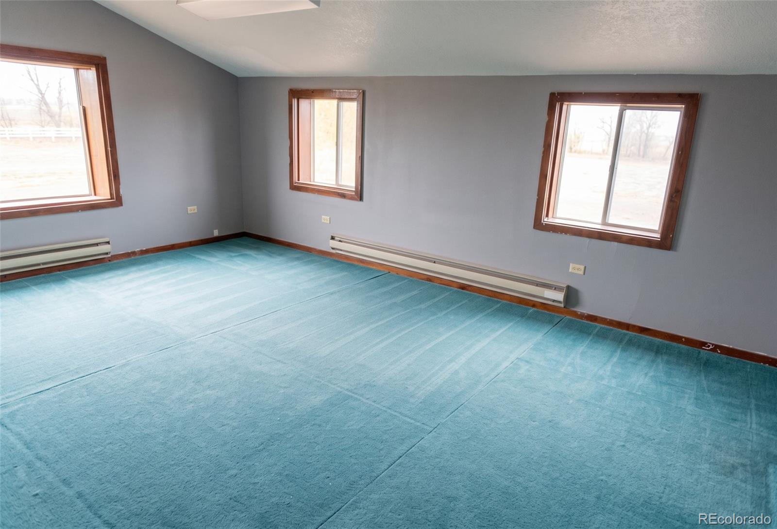 MLS Image #12 for 7522  county road 50 ,center, Colorado