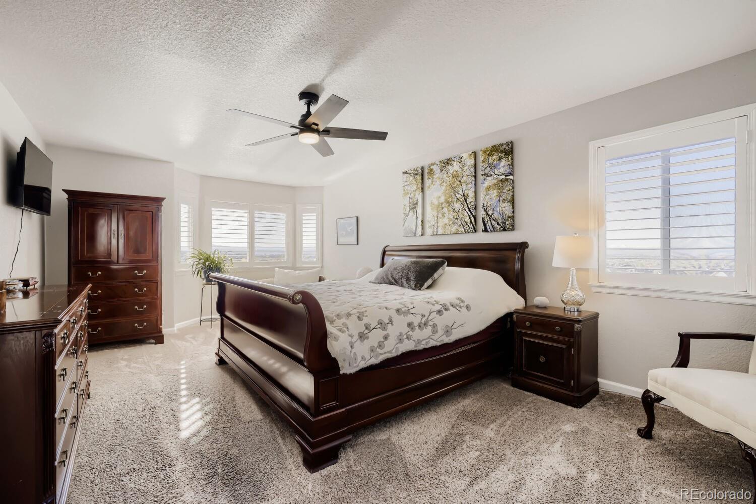 MLS Image #14 for 11933  singing winds street,parker, Colorado