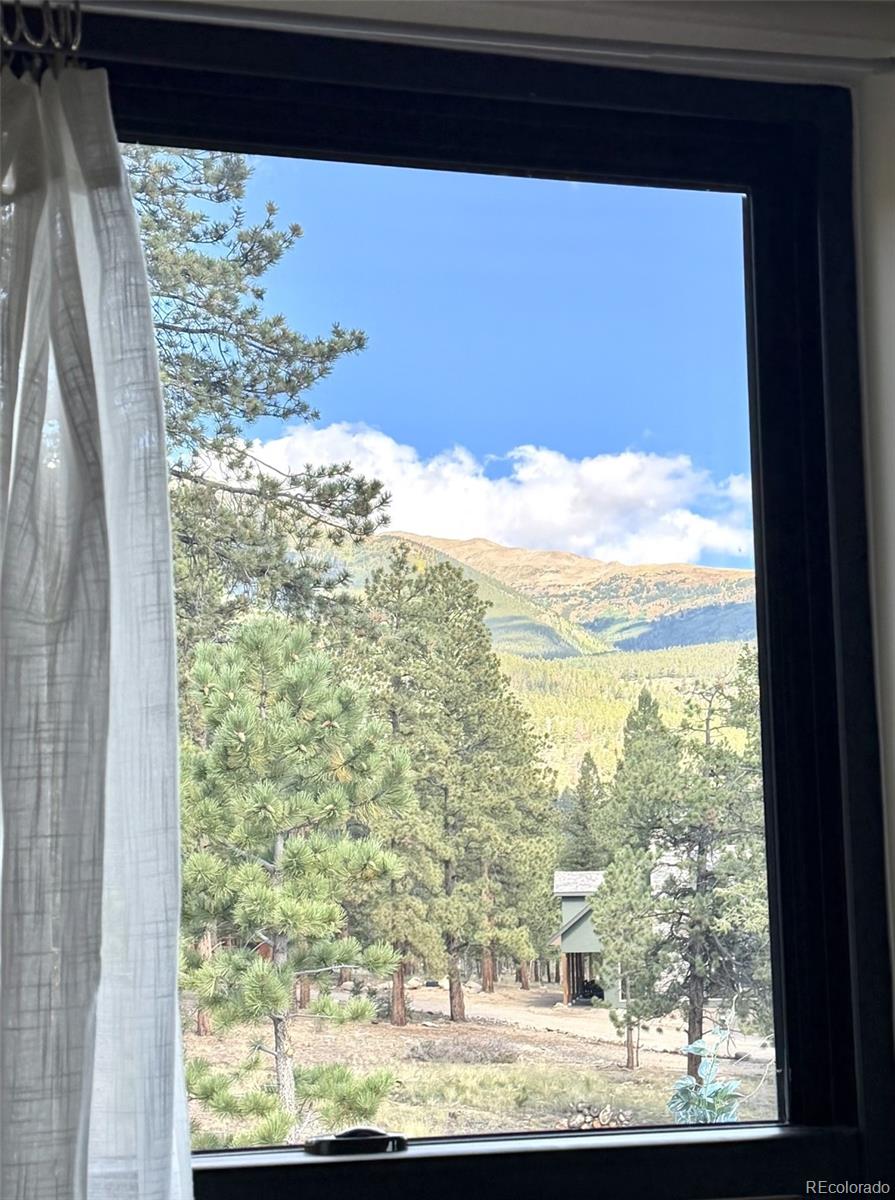 MLS Image #24 for 30490  harvard circle,buena vista, Colorado