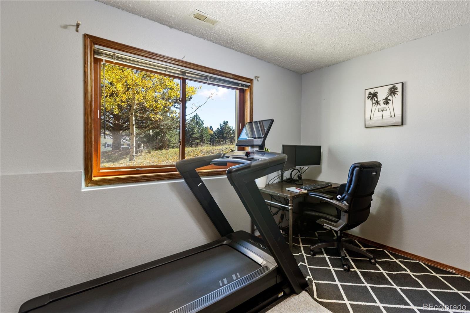 MLS Image #17 for 750  northwoods drive,woodland park, Colorado