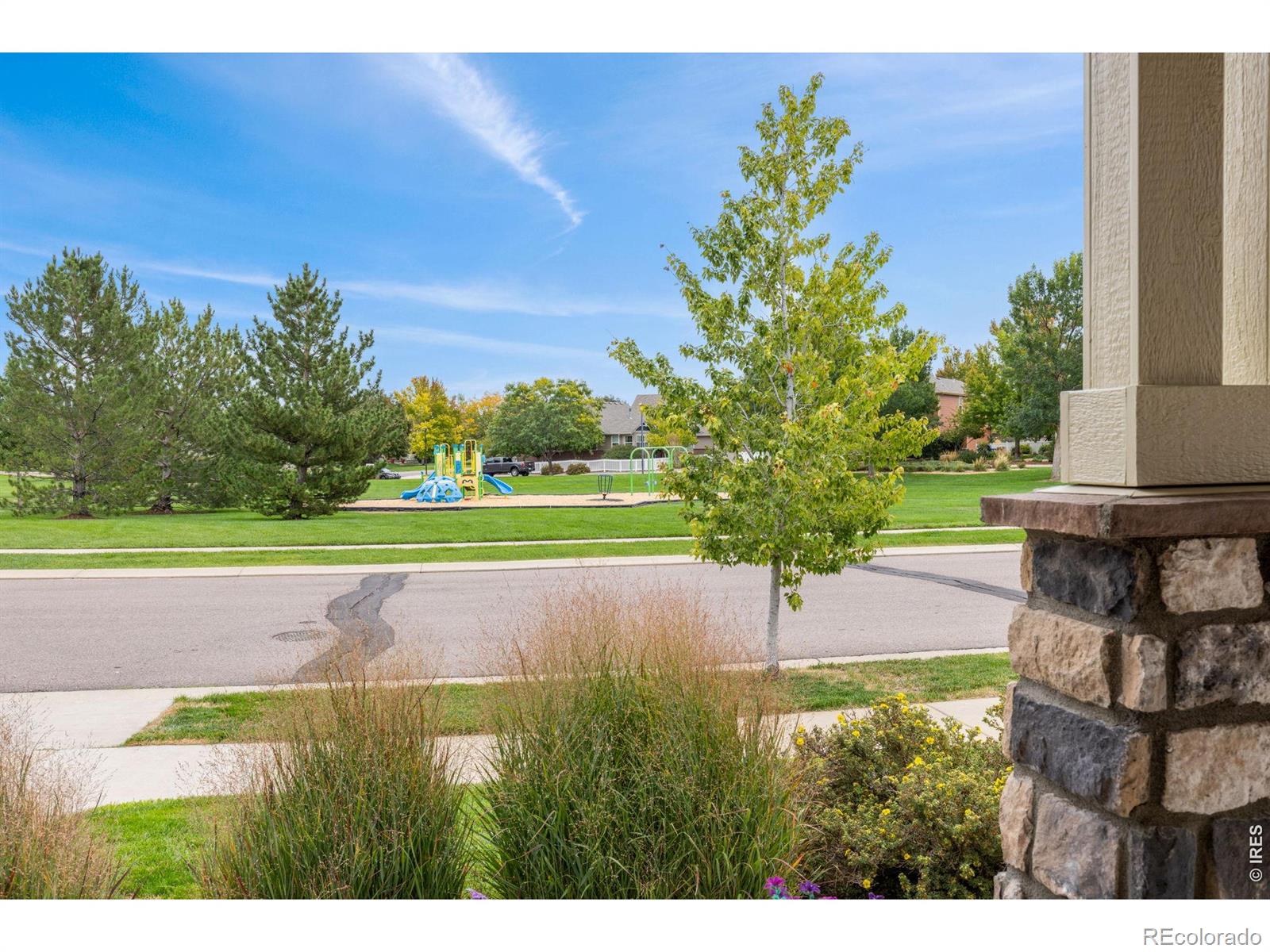 MLS Image #4 for 157  peppler drive,longmont, Colorado