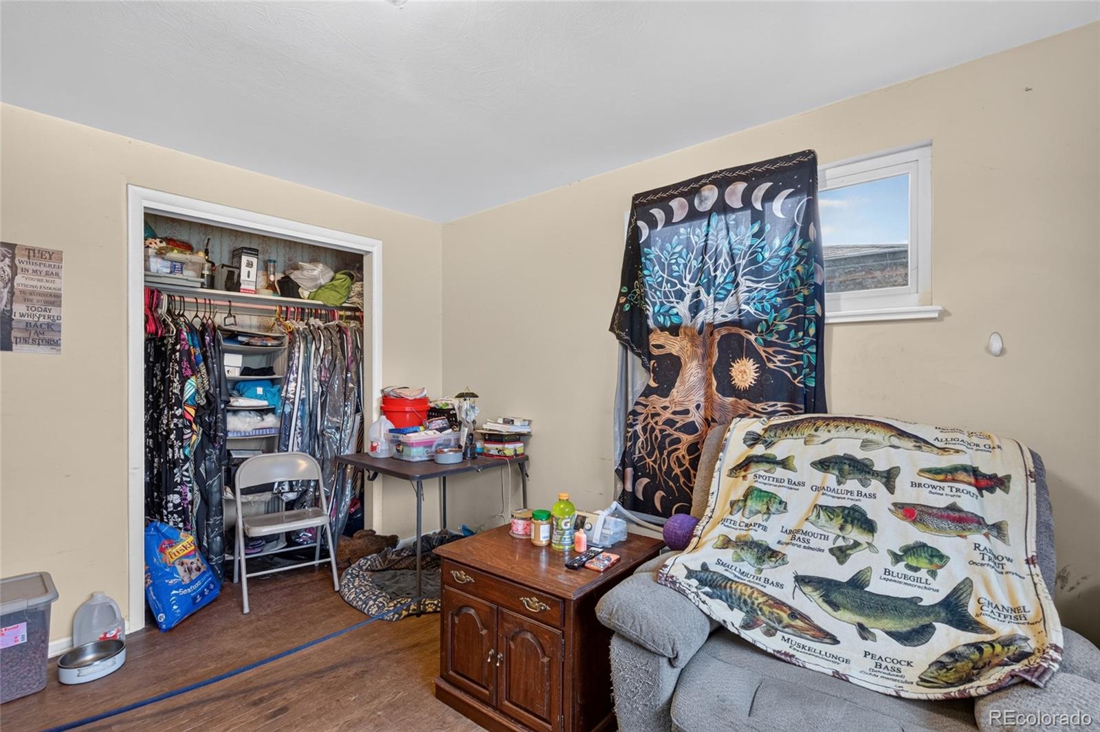 MLS Image #10 for 4770  carr street,wheat ridge, Colorado