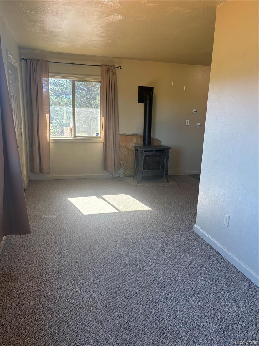 MLS Image #3 for 777  wilson drive,florissant, Colorado