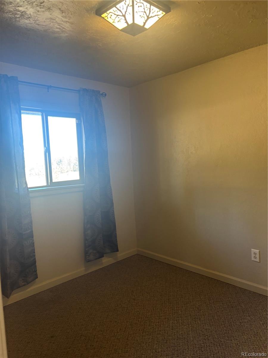 MLS Image #5 for 777  wilson drive,florissant, Colorado