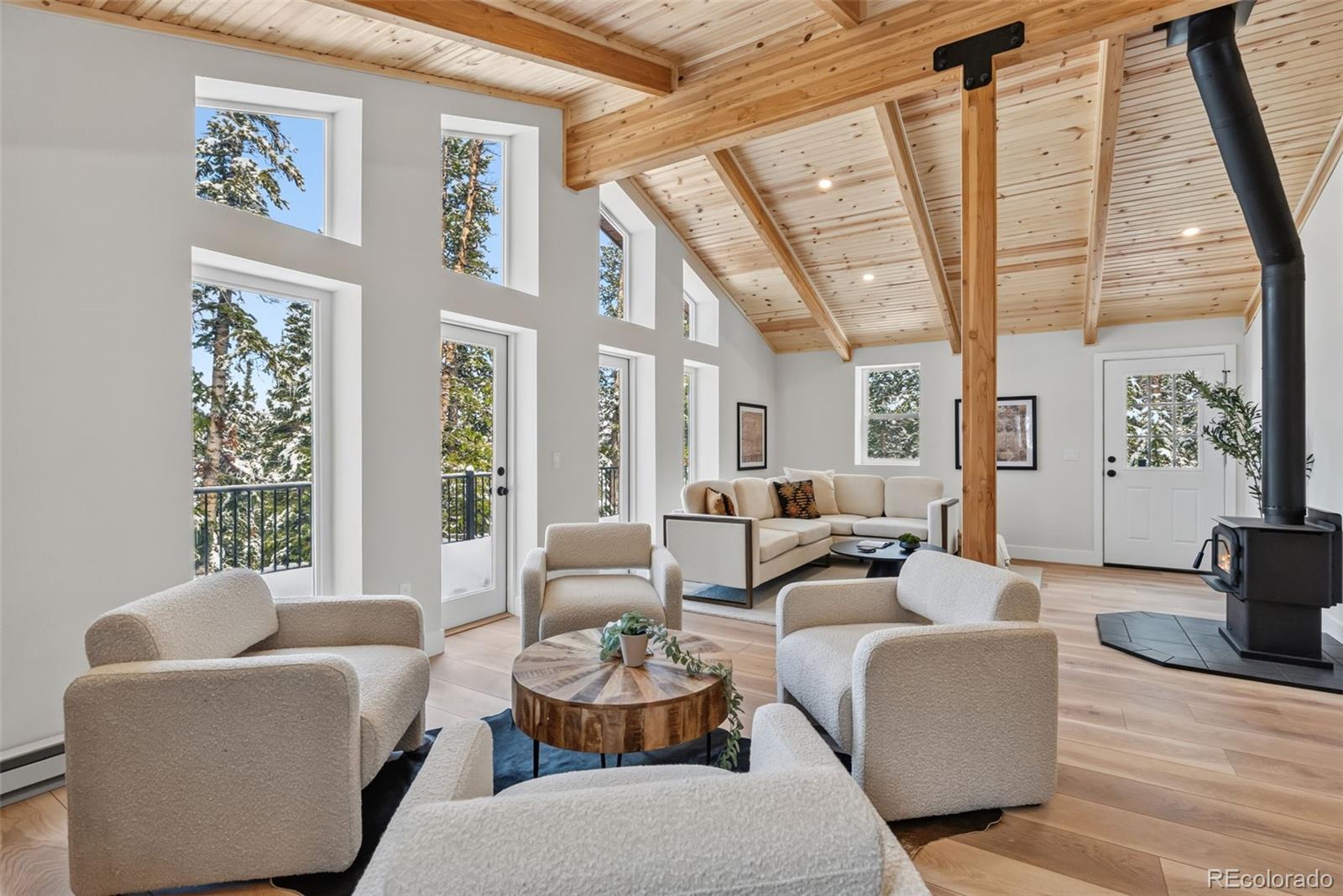 MLS Image #10 for 767  valley of the sun drive,fairplay, Colorado