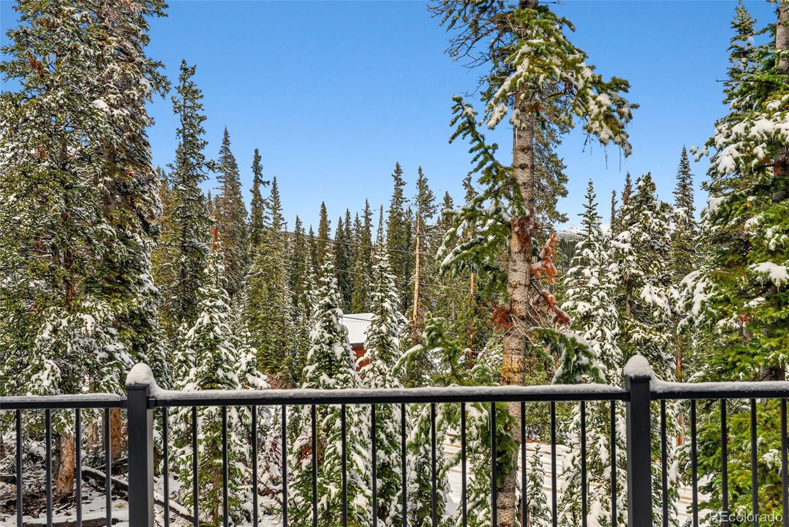 MLS Image #13 for 767  valley of the sun drive,fairplay, Colorado