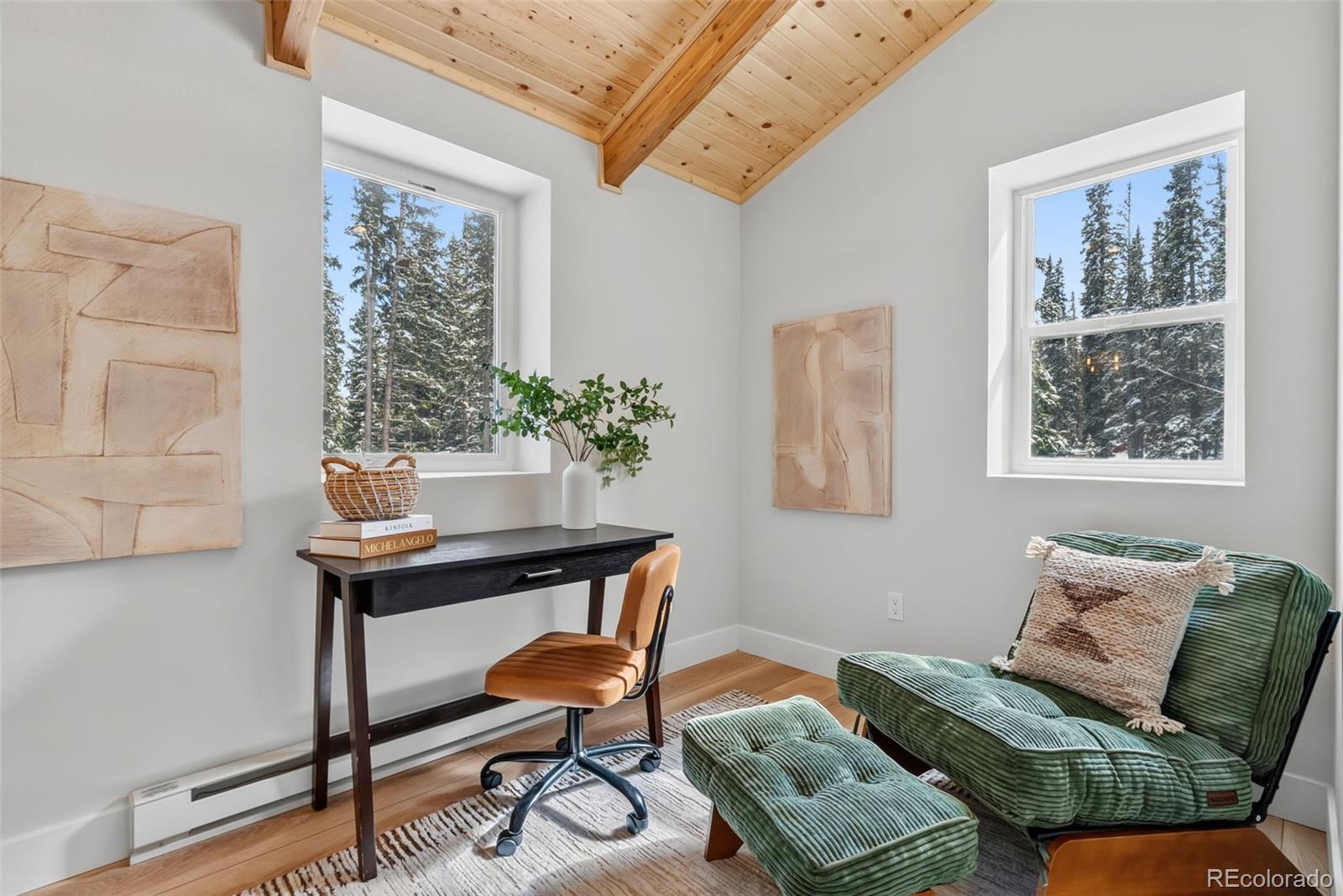 MLS Image #19 for 767  valley of the sun drive,fairplay, Colorado