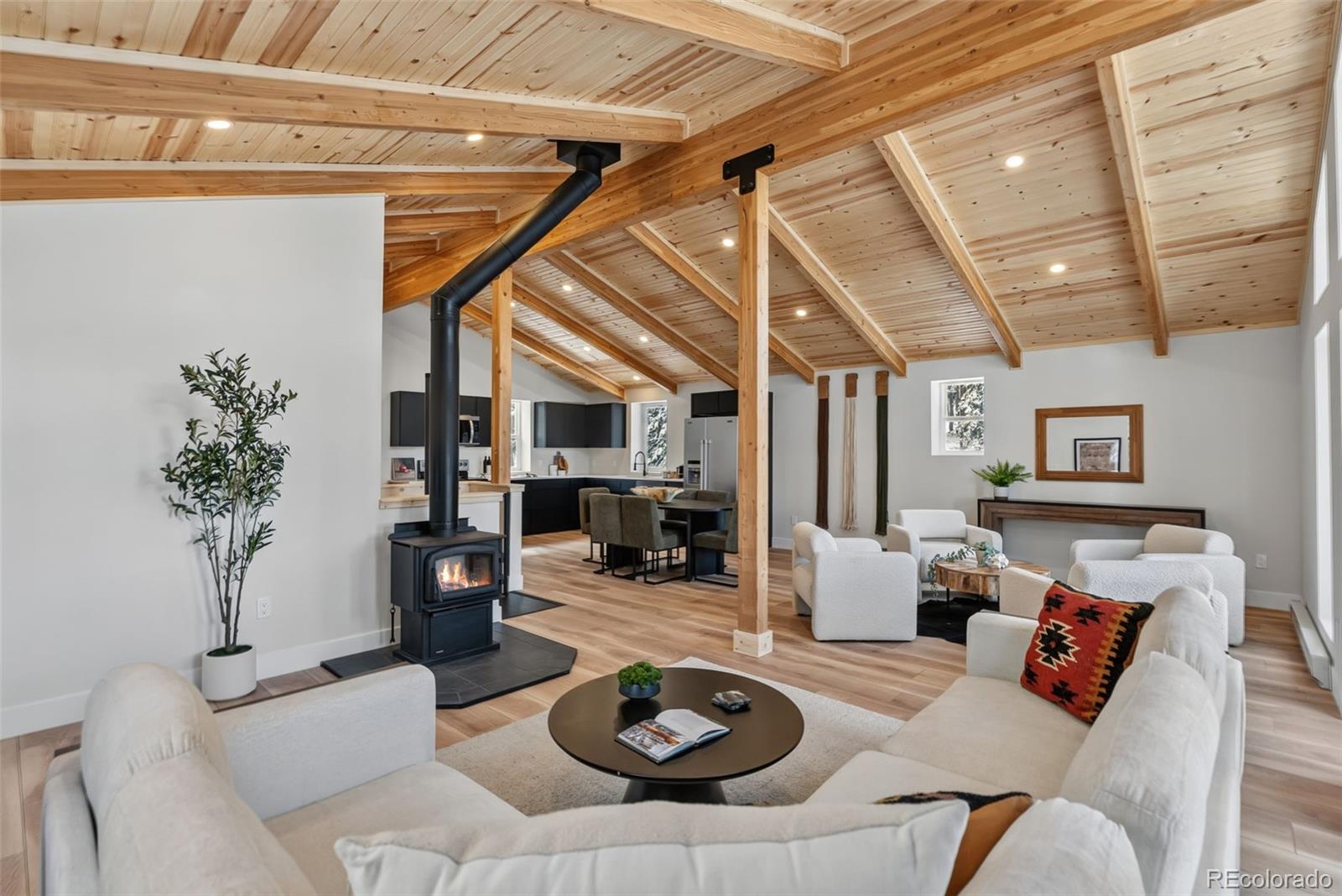 MLS Image #3 for 767  valley of the sun drive,fairplay, Colorado