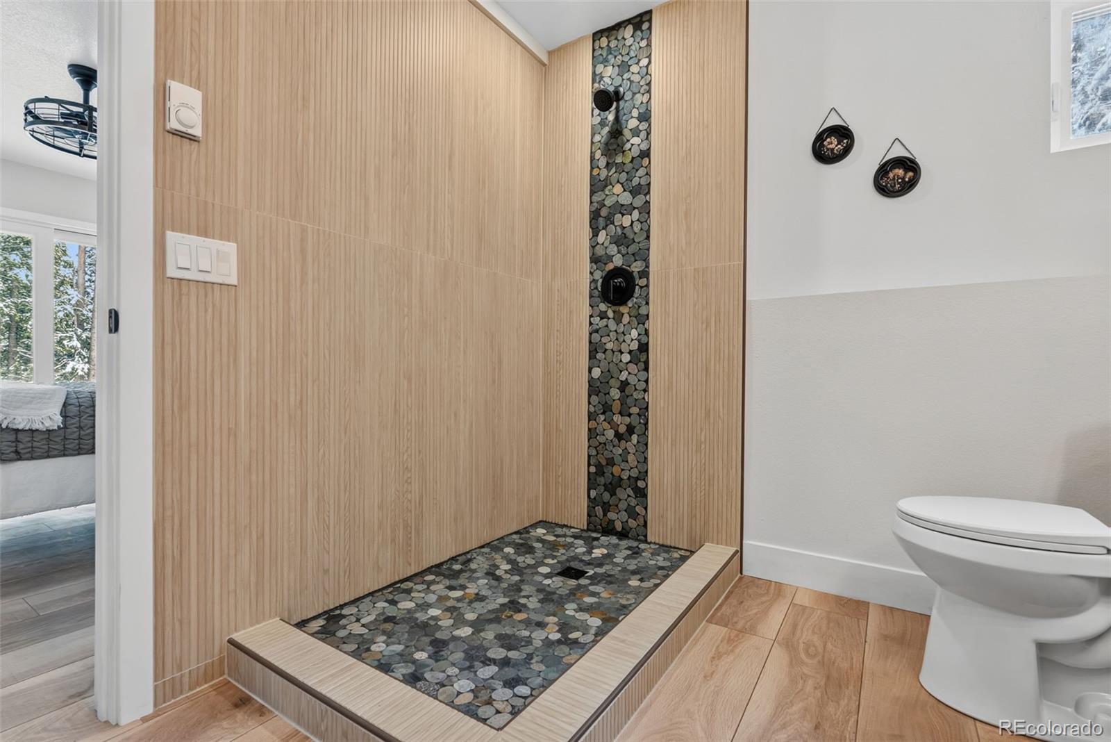 MLS Image #35 for 767  valley of the sun drive,fairplay, Colorado