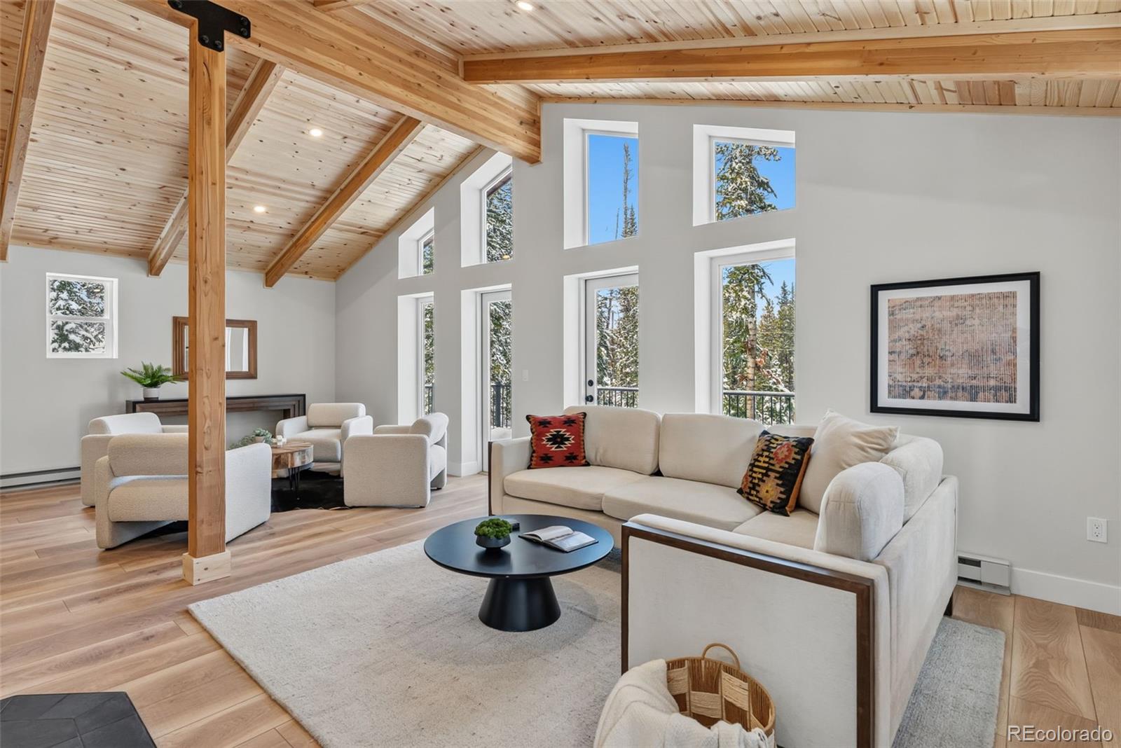 MLS Image #4 for 767  valley of the sun drive,fairplay, Colorado