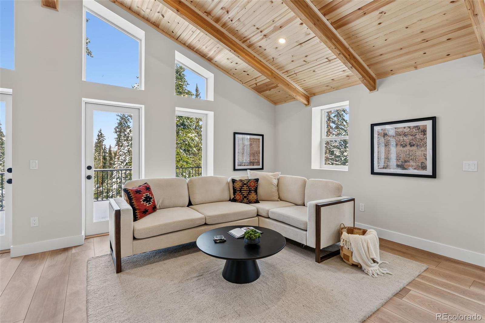 MLS Image #5 for 767  valley of the sun drive,fairplay, Colorado