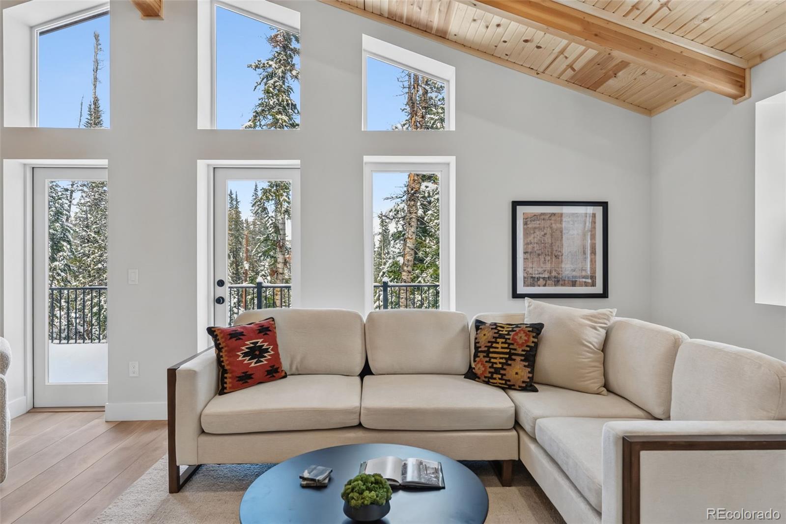 MLS Image #6 for 767  valley of the sun drive,fairplay, Colorado