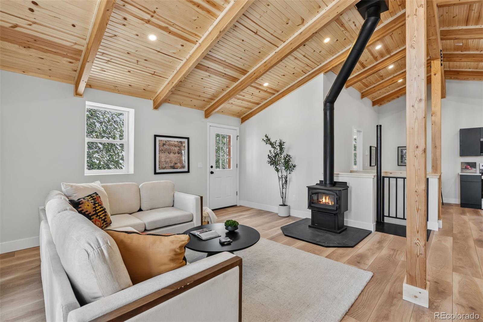 MLS Image #7 for 767  valley of the sun drive,fairplay, Colorado