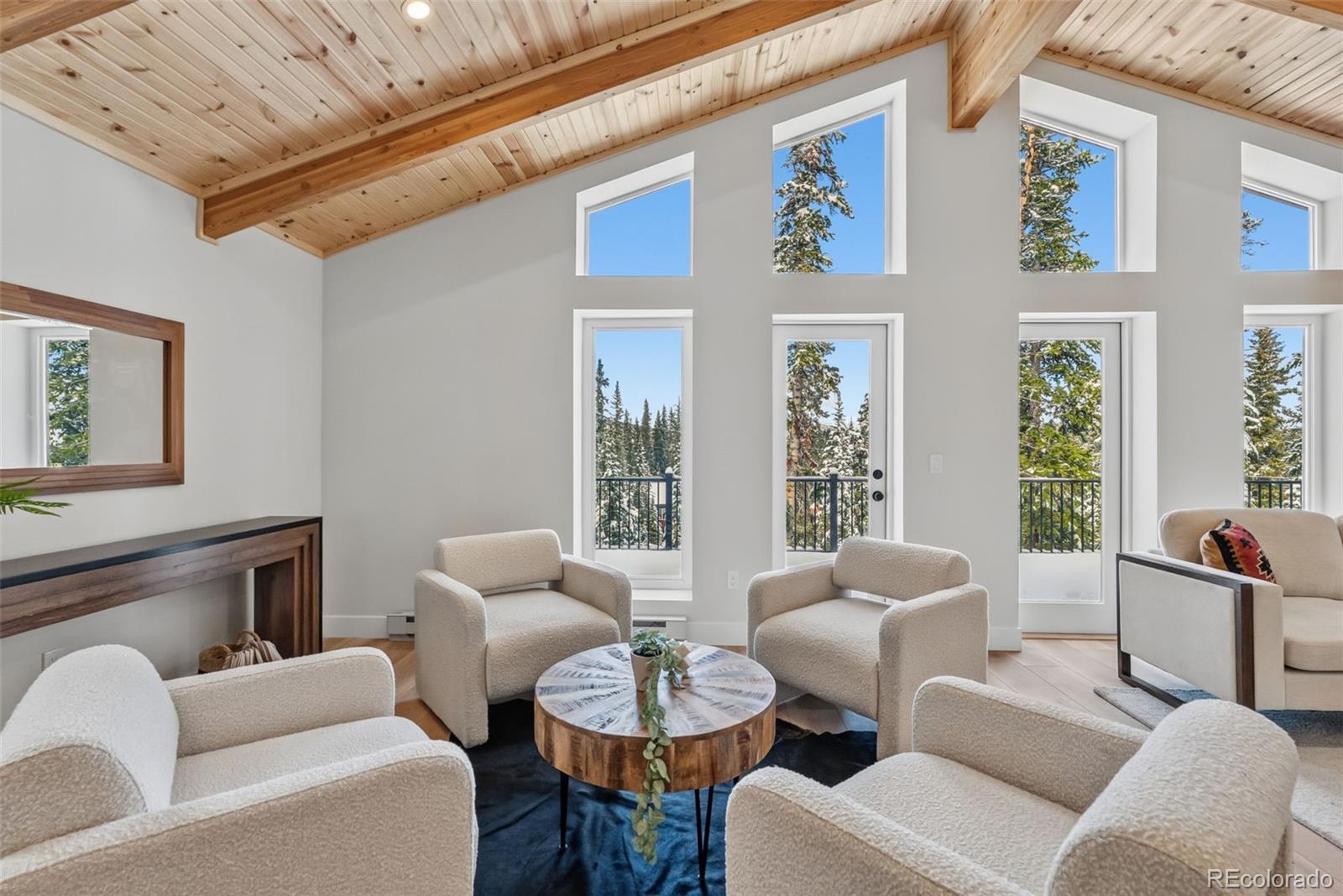 MLS Image #9 for 767  valley of the sun drive,fairplay, Colorado