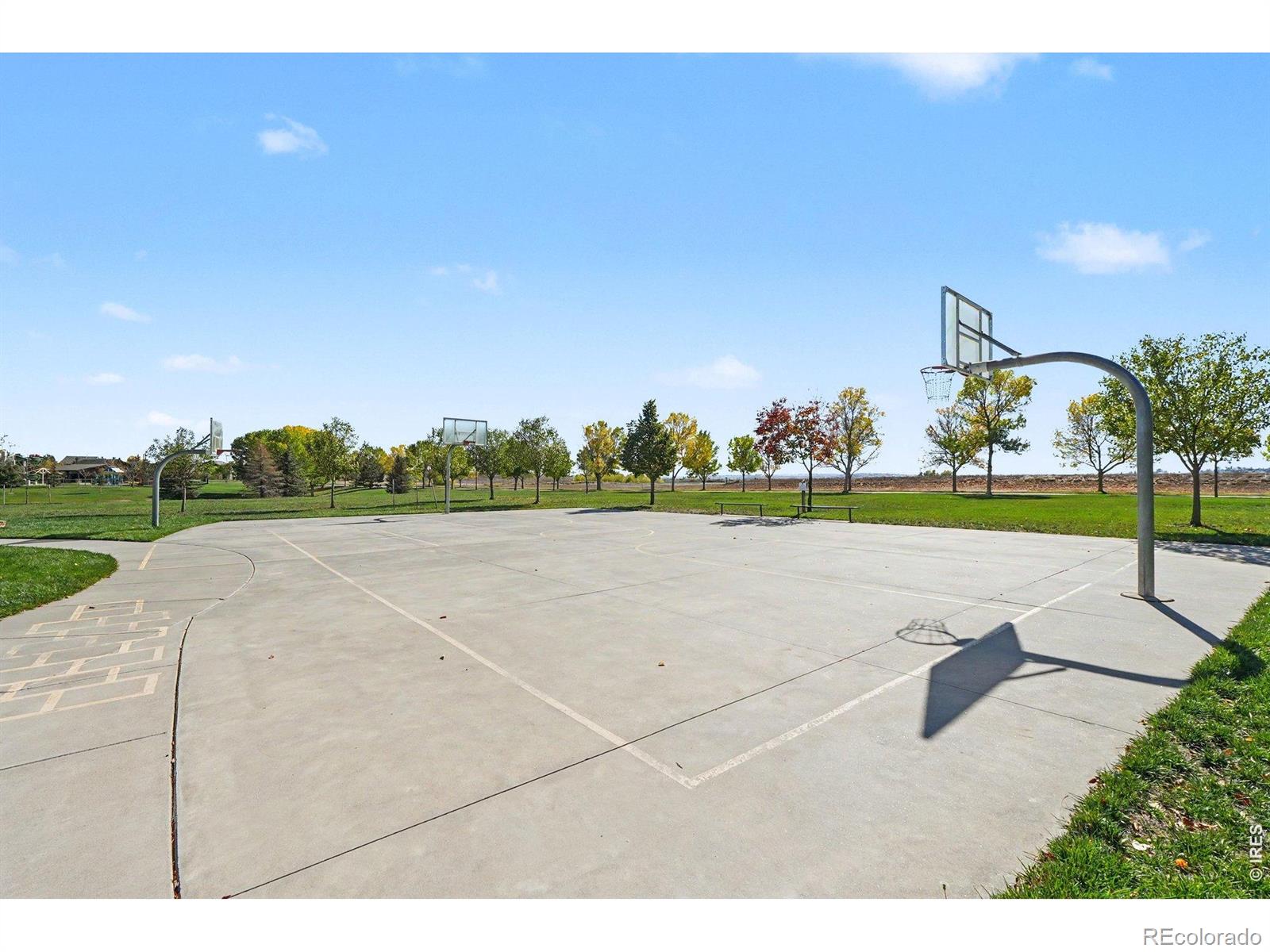 MLS Image #44 for 5942  graphite street,timnath, Colorado