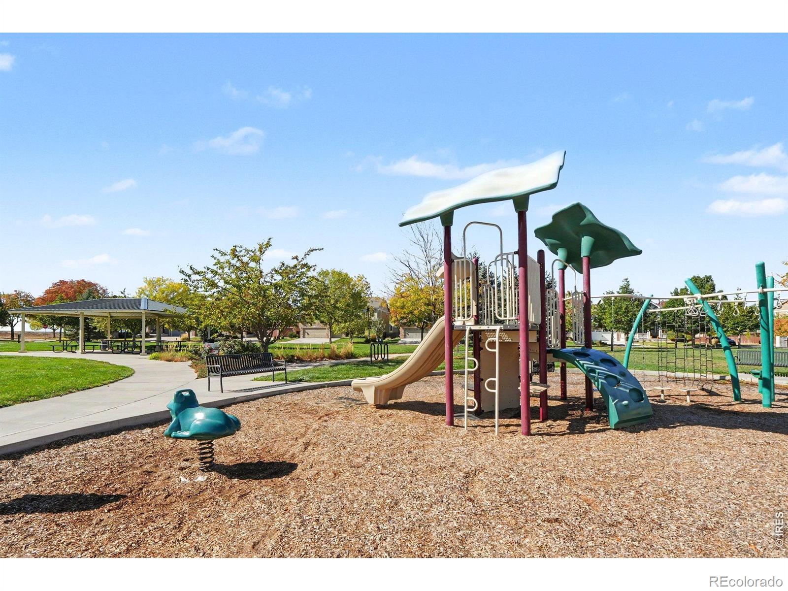 MLS Image #45 for 5942  graphite street,timnath, Colorado