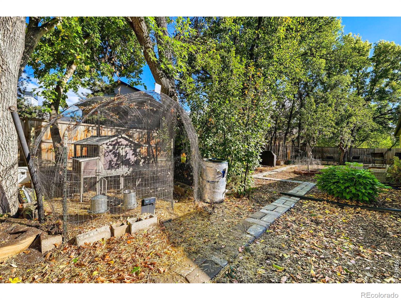 MLS Image #20 for 706  hover street,longmont, Colorado