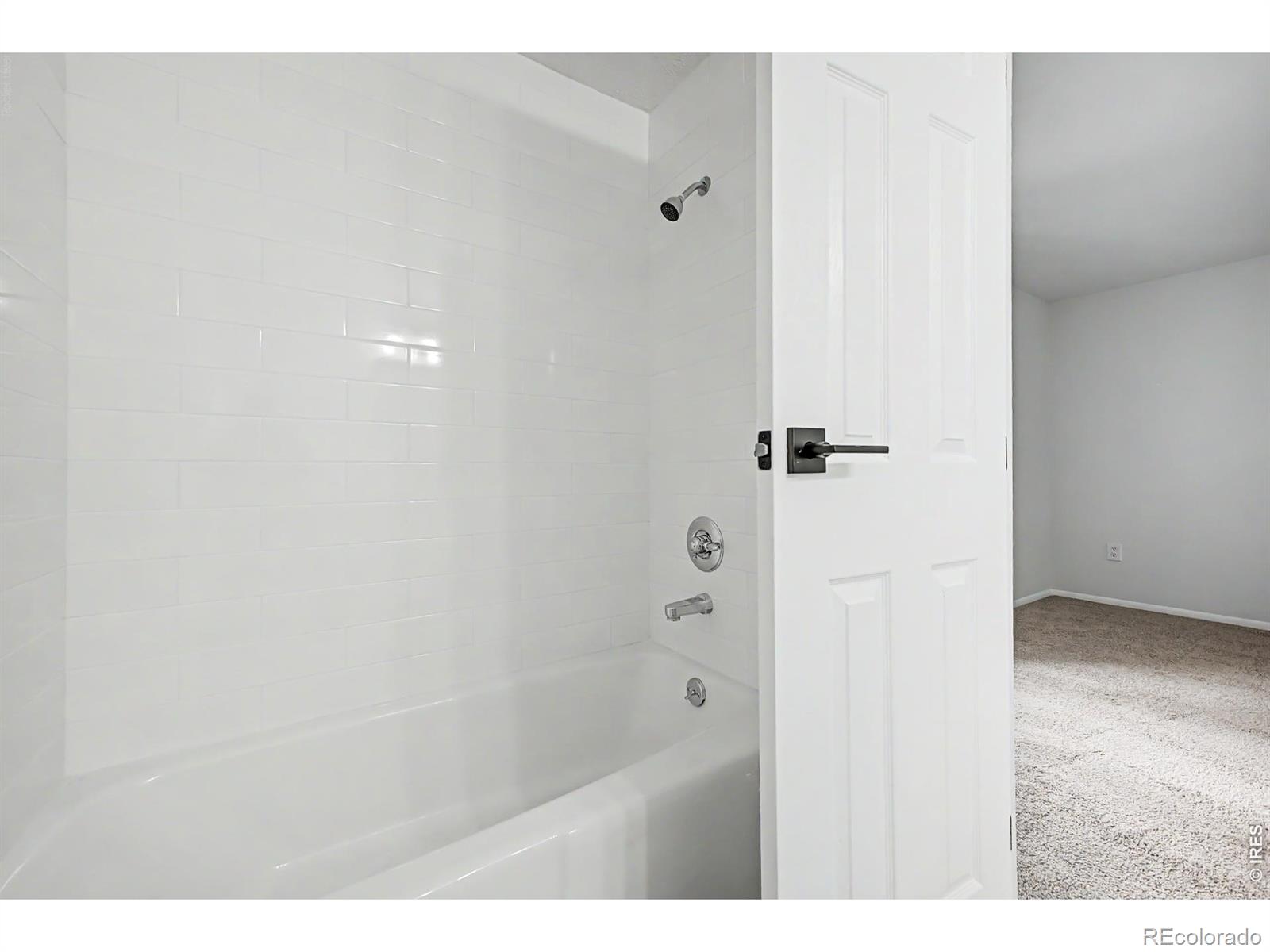 MLS Image #16 for 1166  big horn court,longmont, Colorado
