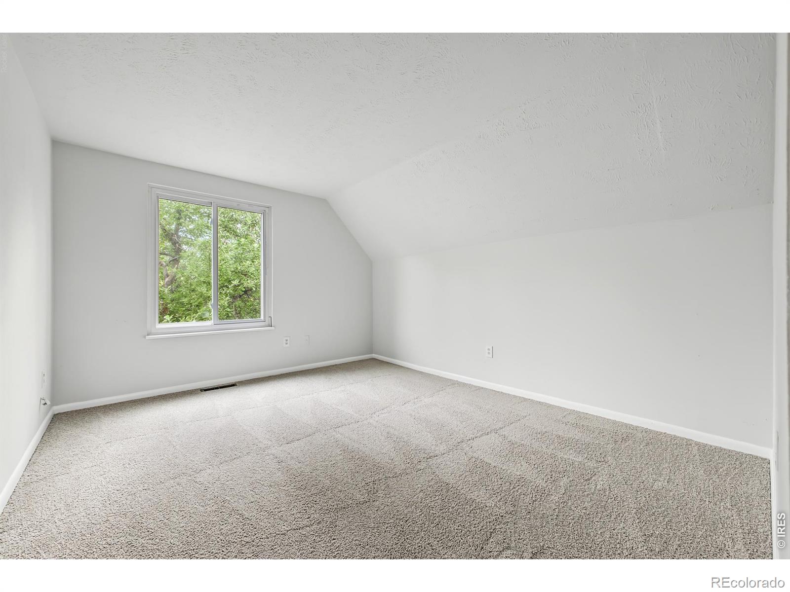 MLS Image #23 for 1166  big horn court,longmont, Colorado