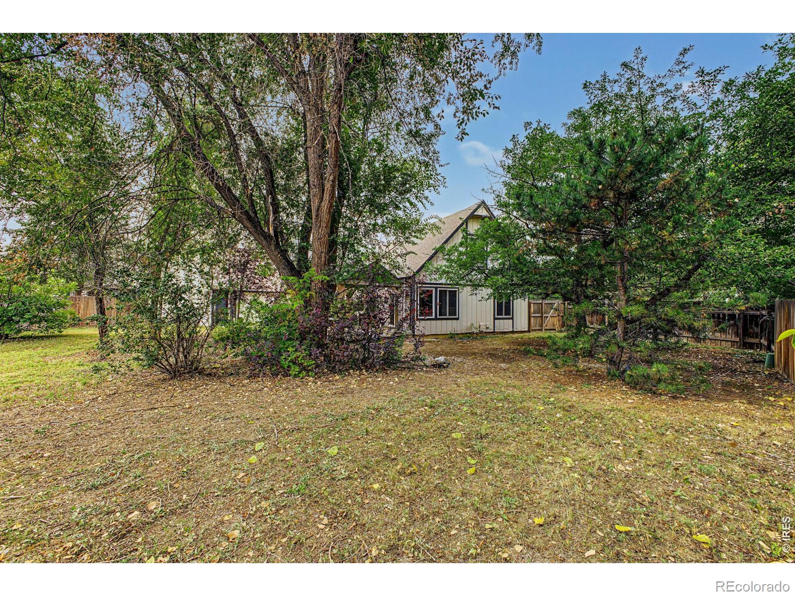 MLS Image #28 for 1166  big horn court,longmont, Colorado