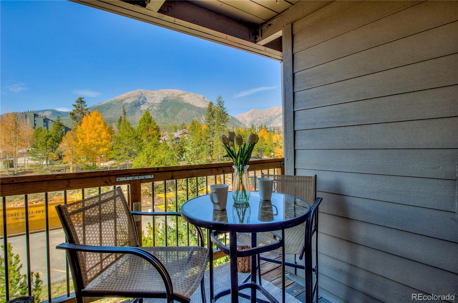 MLS Image #12 for 4400  lodge pole circle,silverthorne, Colorado