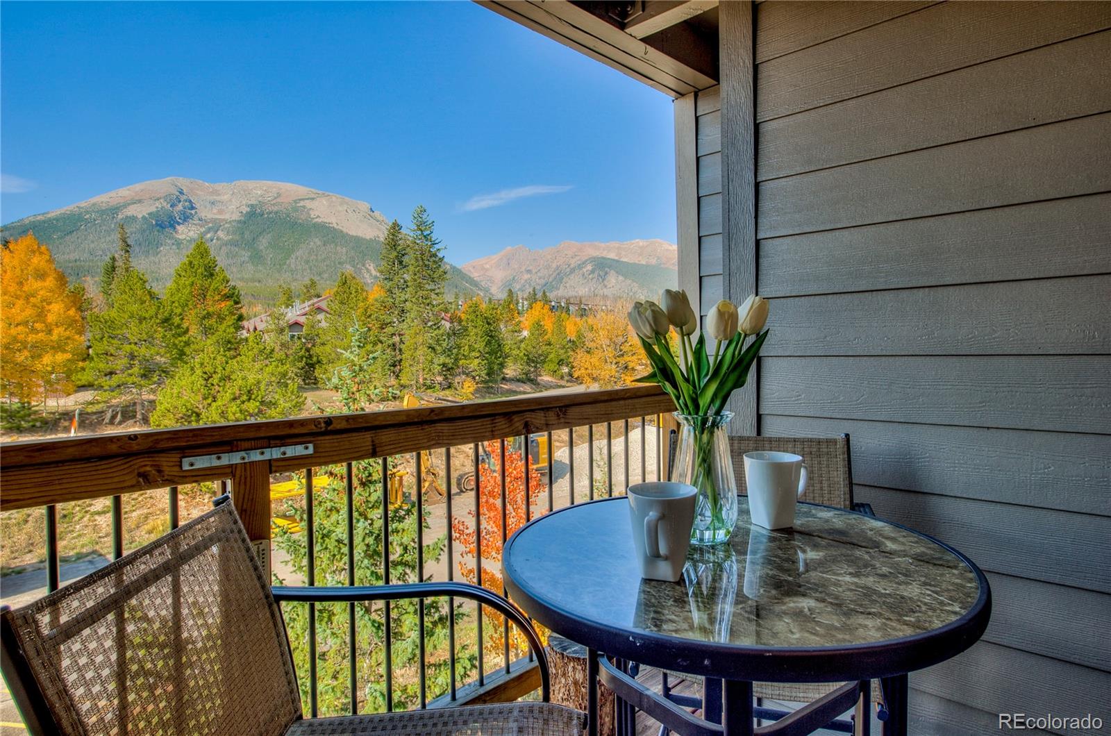 MLS Image #13 for 4400  lodge pole circle,silverthorne, Colorado