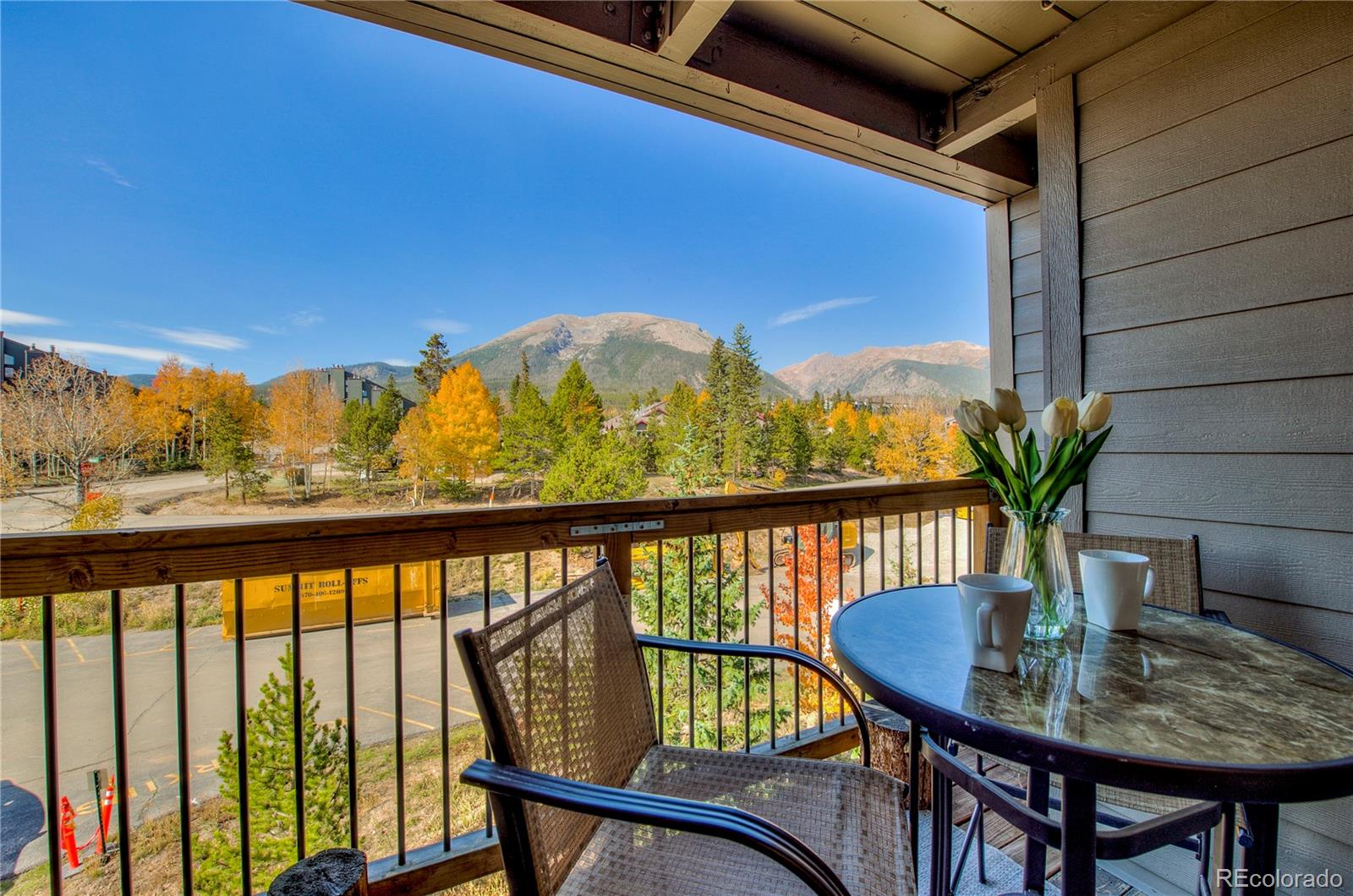 MLS Image #14 for 4400  lodge pole circle,silverthorne, Colorado