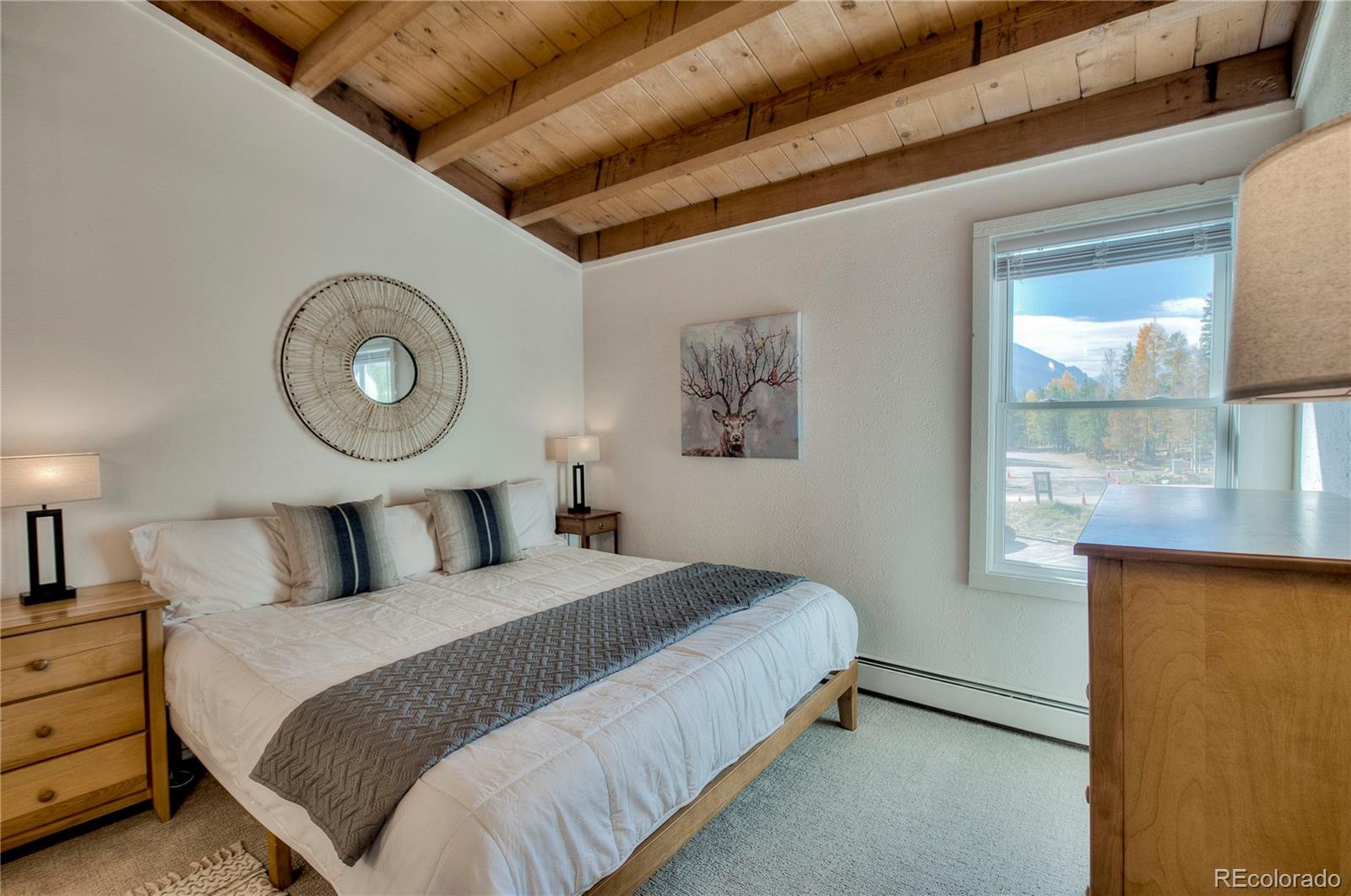 MLS Image #22 for 4400  lodge pole circle,silverthorne, Colorado