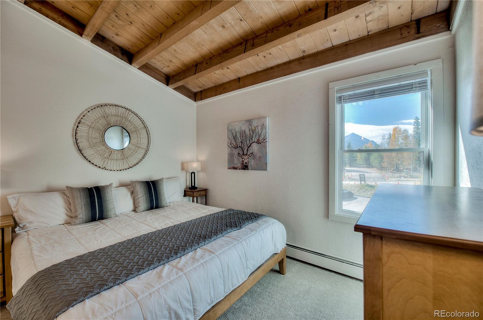 MLS Image #25 for 4400  lodge pole circle,silverthorne, Colorado