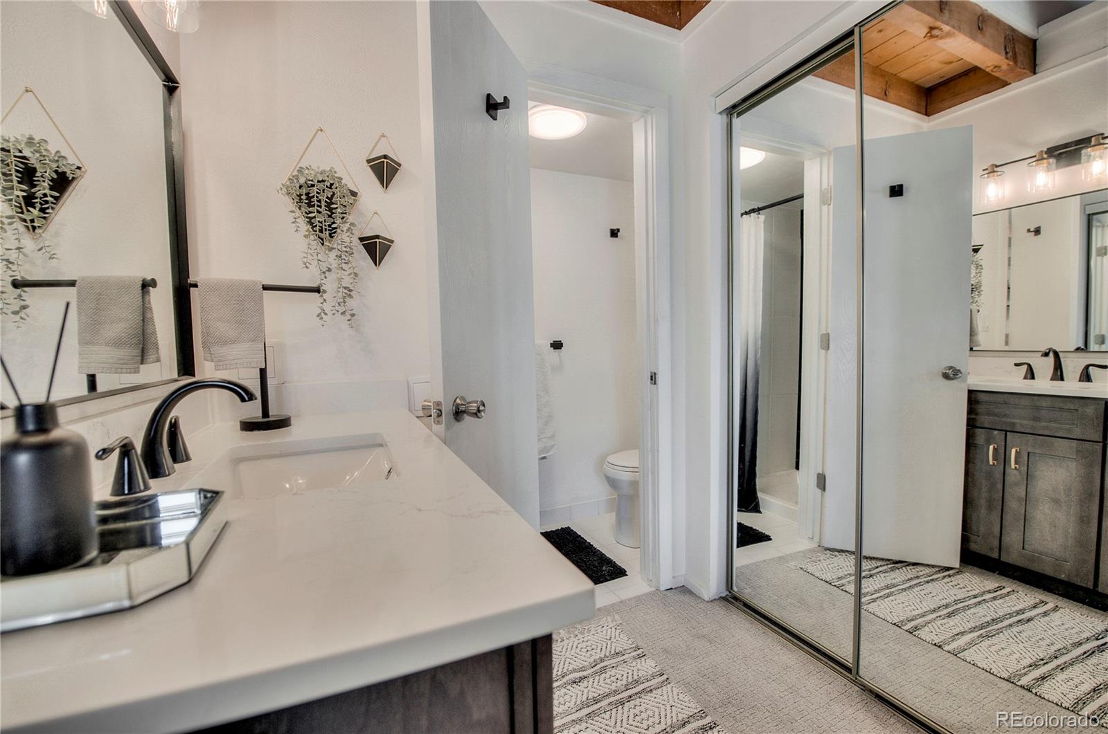 MLS Image #28 for 4400  lodge pole circle,silverthorne, Colorado