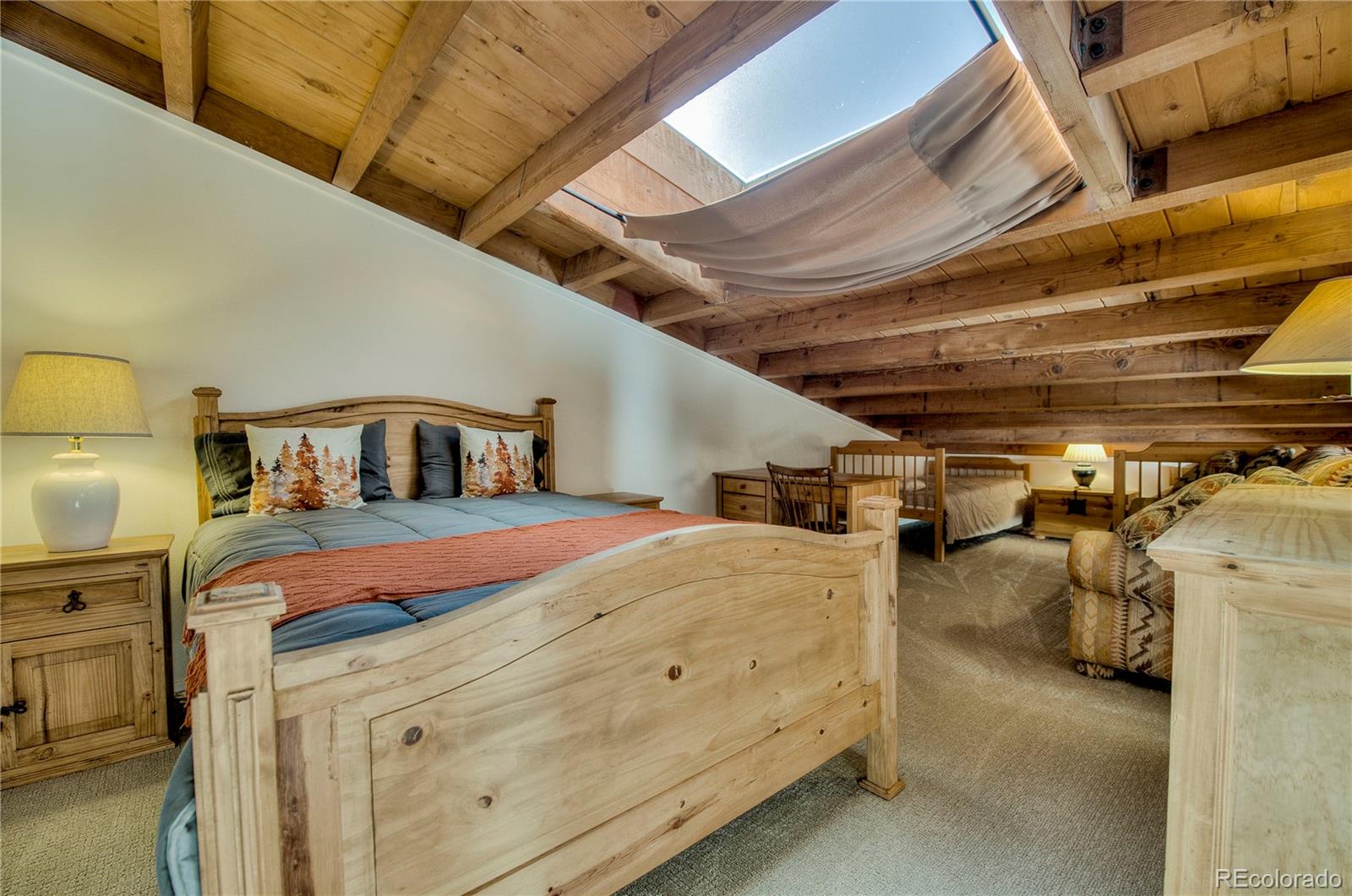 MLS Image #29 for 4400  lodge pole circle,silverthorne, Colorado