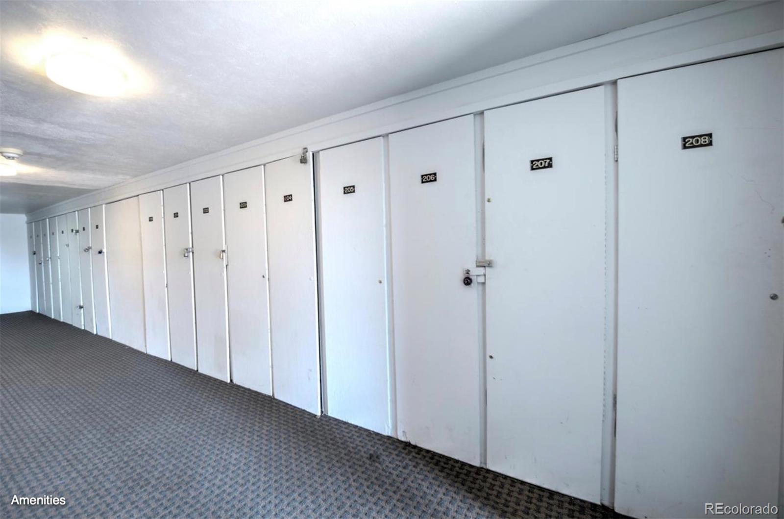 MLS Image #37 for 4400  lodge pole circle,silverthorne, Colorado
