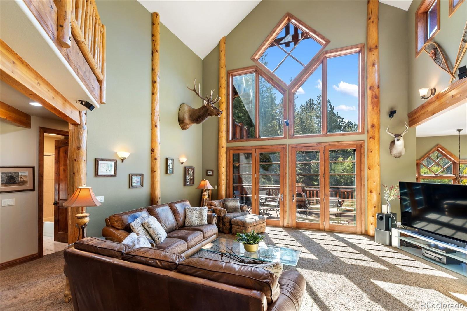 MLS Image #11 for 4214  trout creek road,woodland park, Colorado